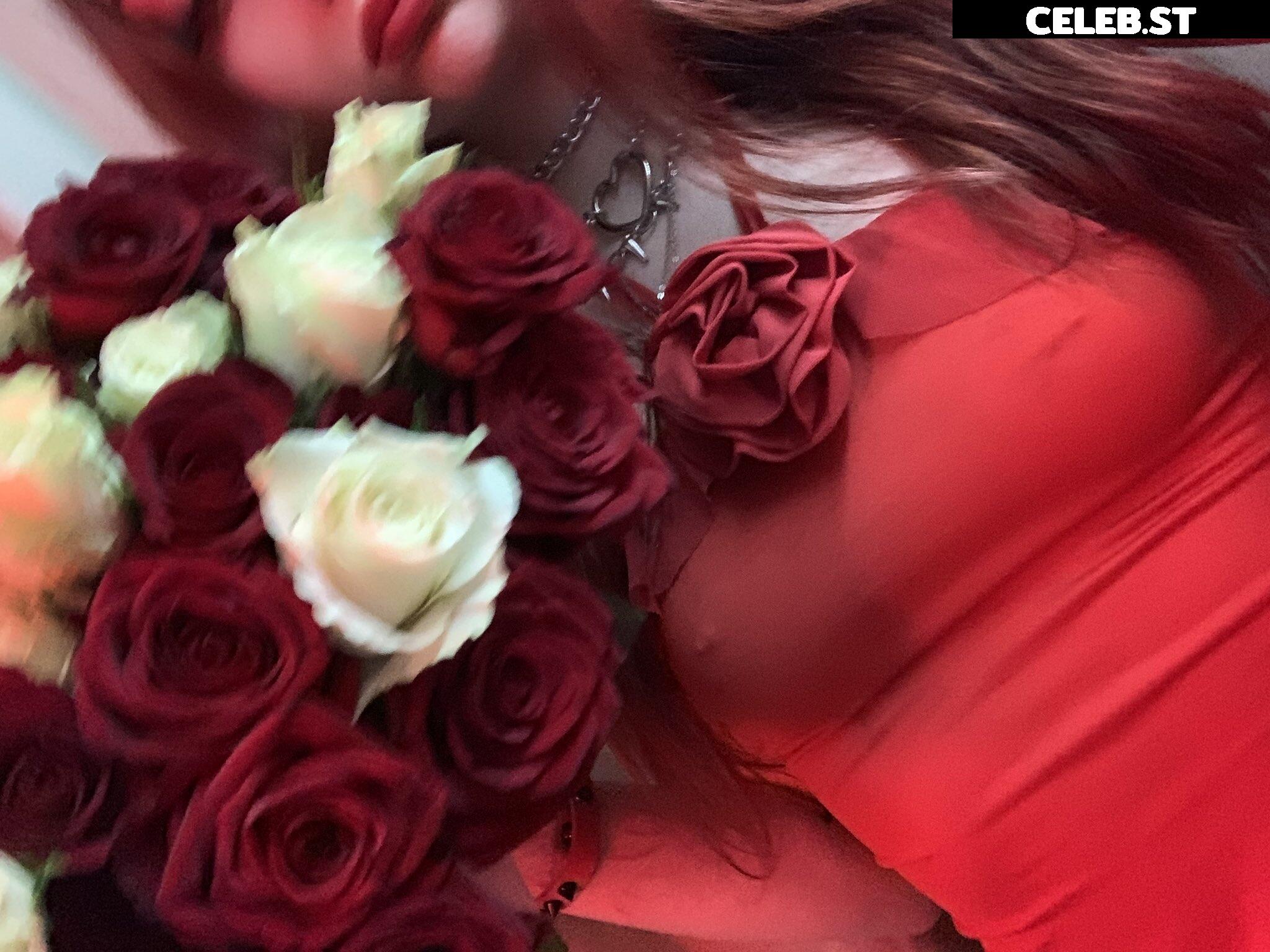 Redsativarose Image 2324093