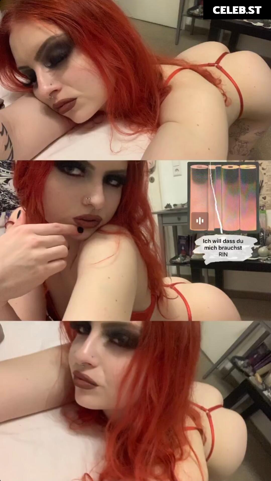 Redsativarose Image 2322336