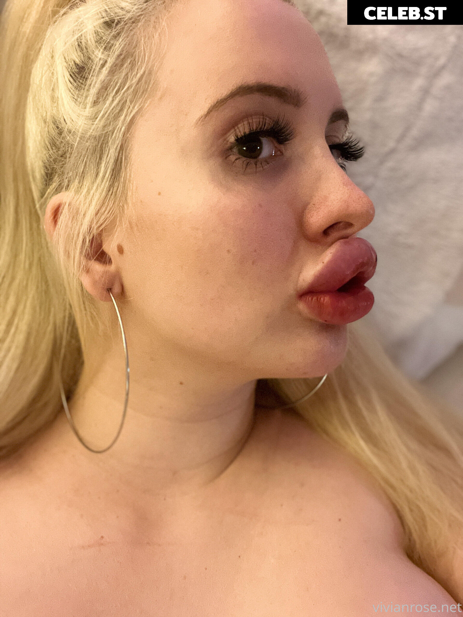 Vivian Rose Image 2322260