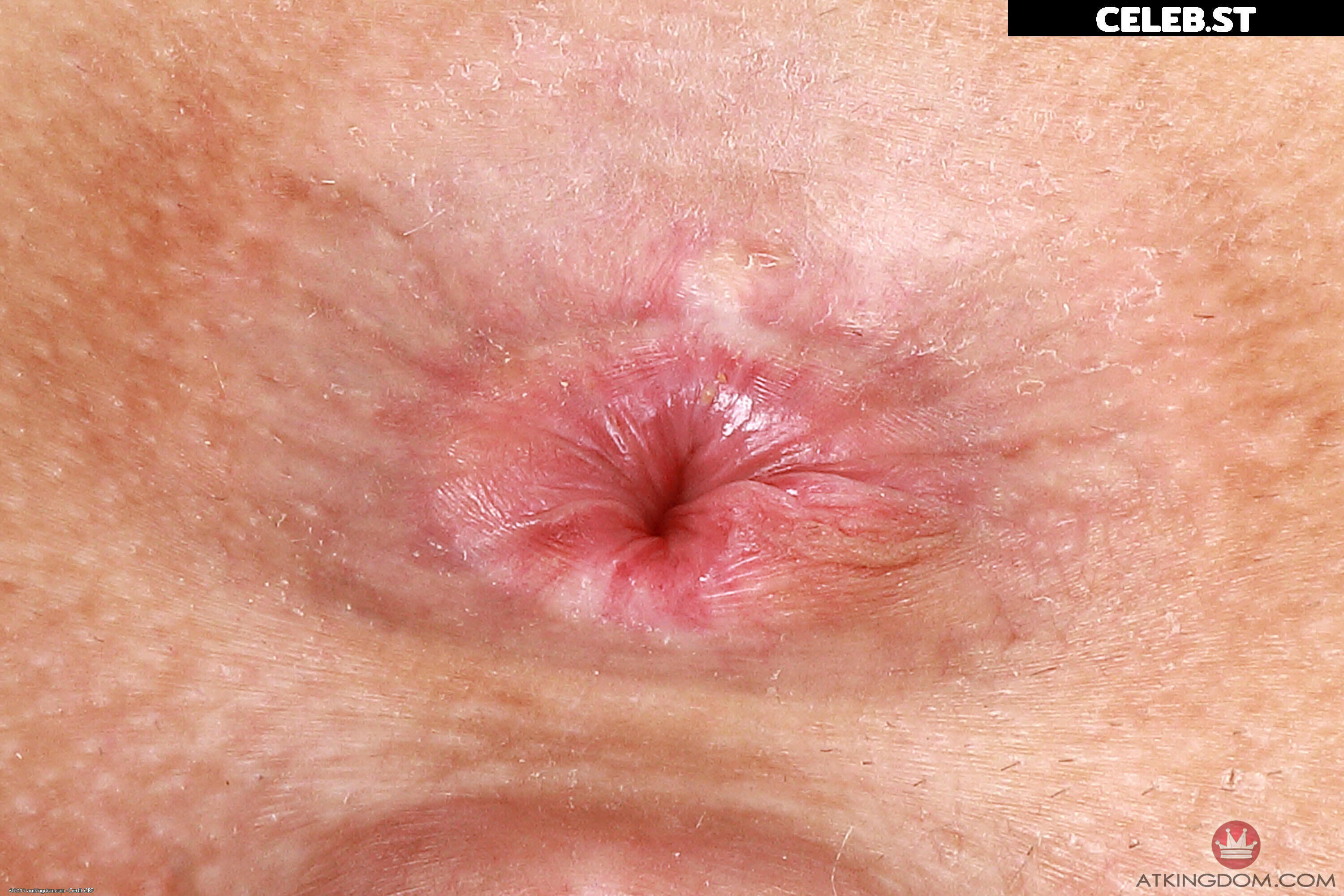 Kali Roses Image 23238922