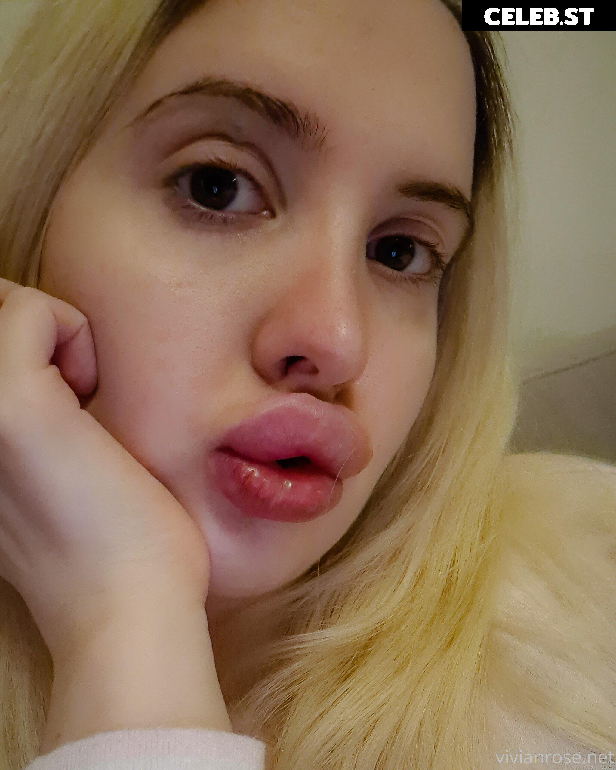 Vivian Rose Image 2320310