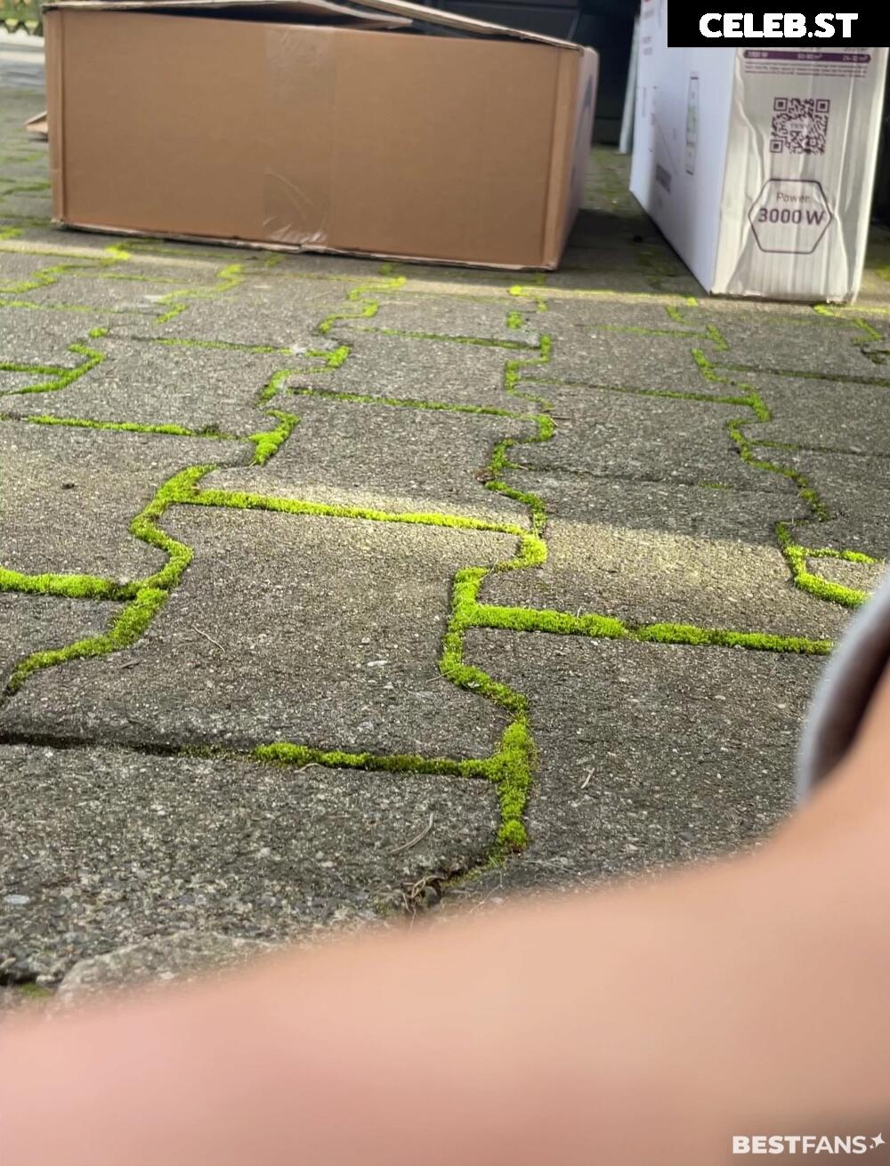 Vannmeyr Image 2329155