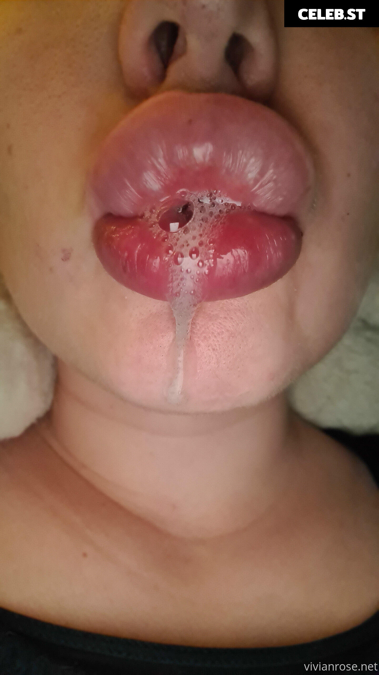 Vivian Rose Image 2310425