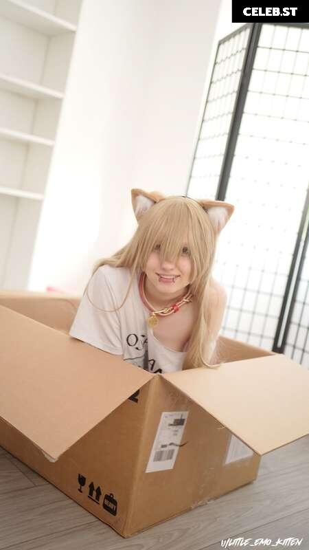 Little Emo Kitten Image 2306607