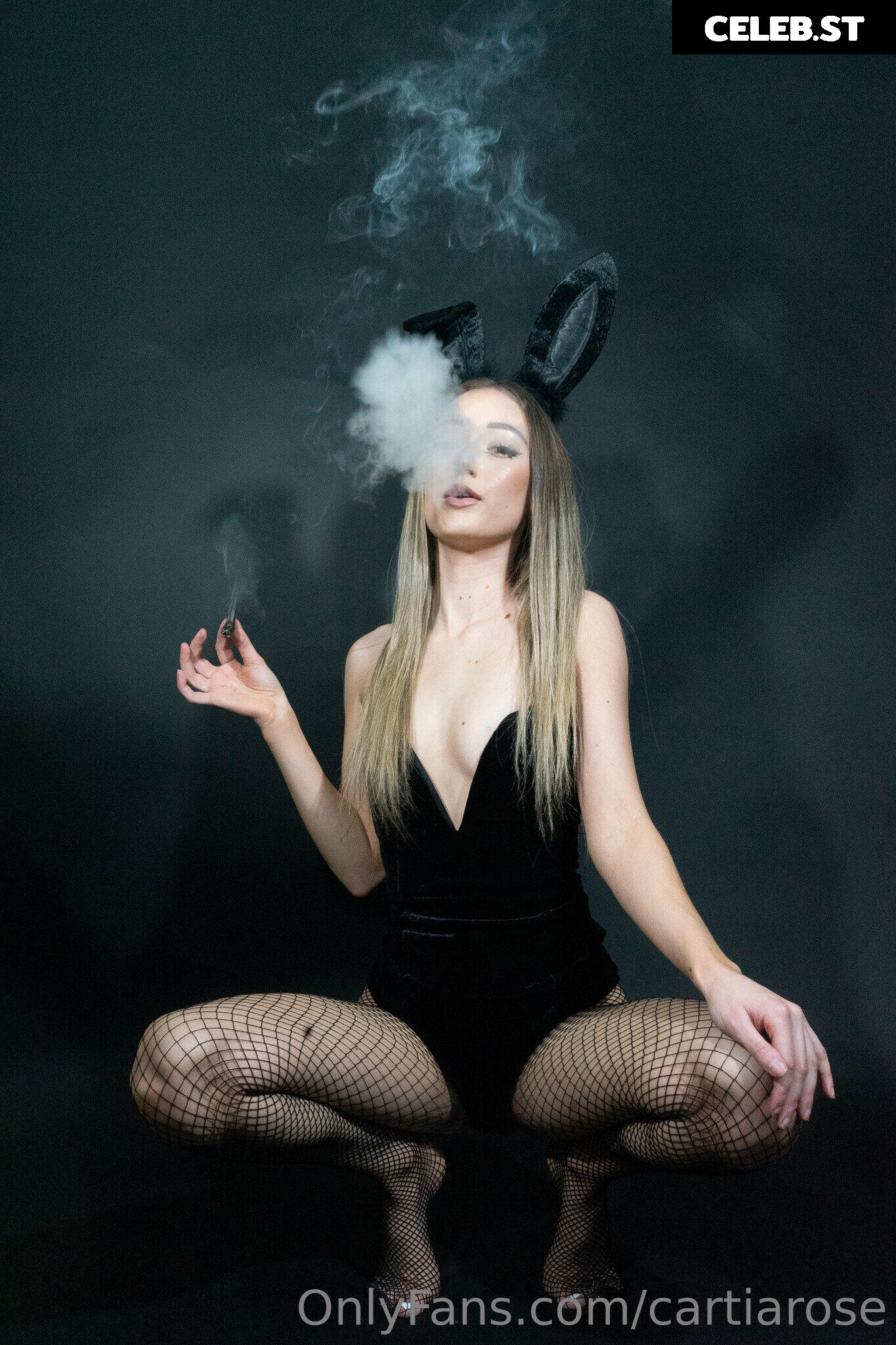 Cartia Rose Image 2307892