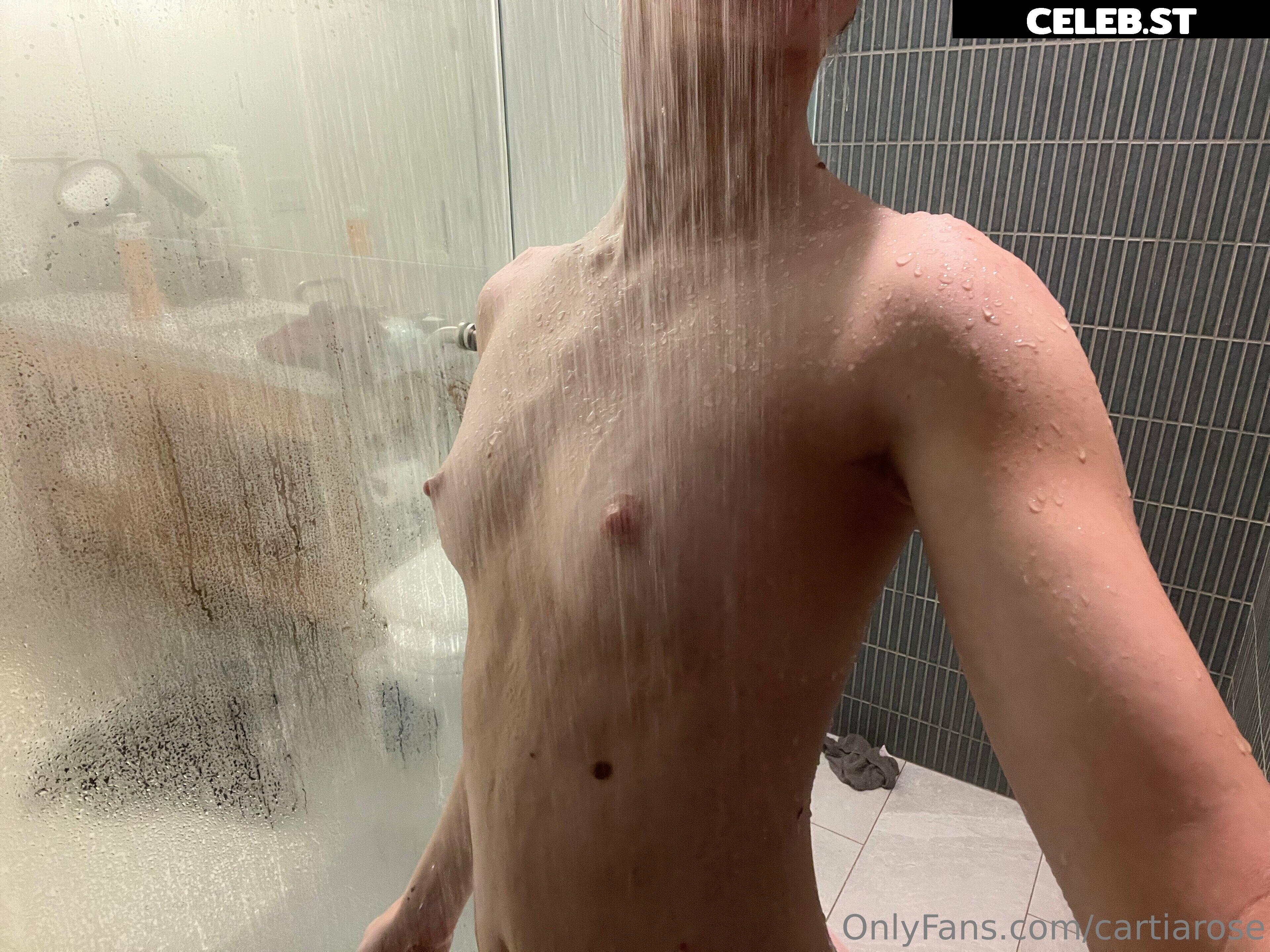 Cartia Rose Image 2304495