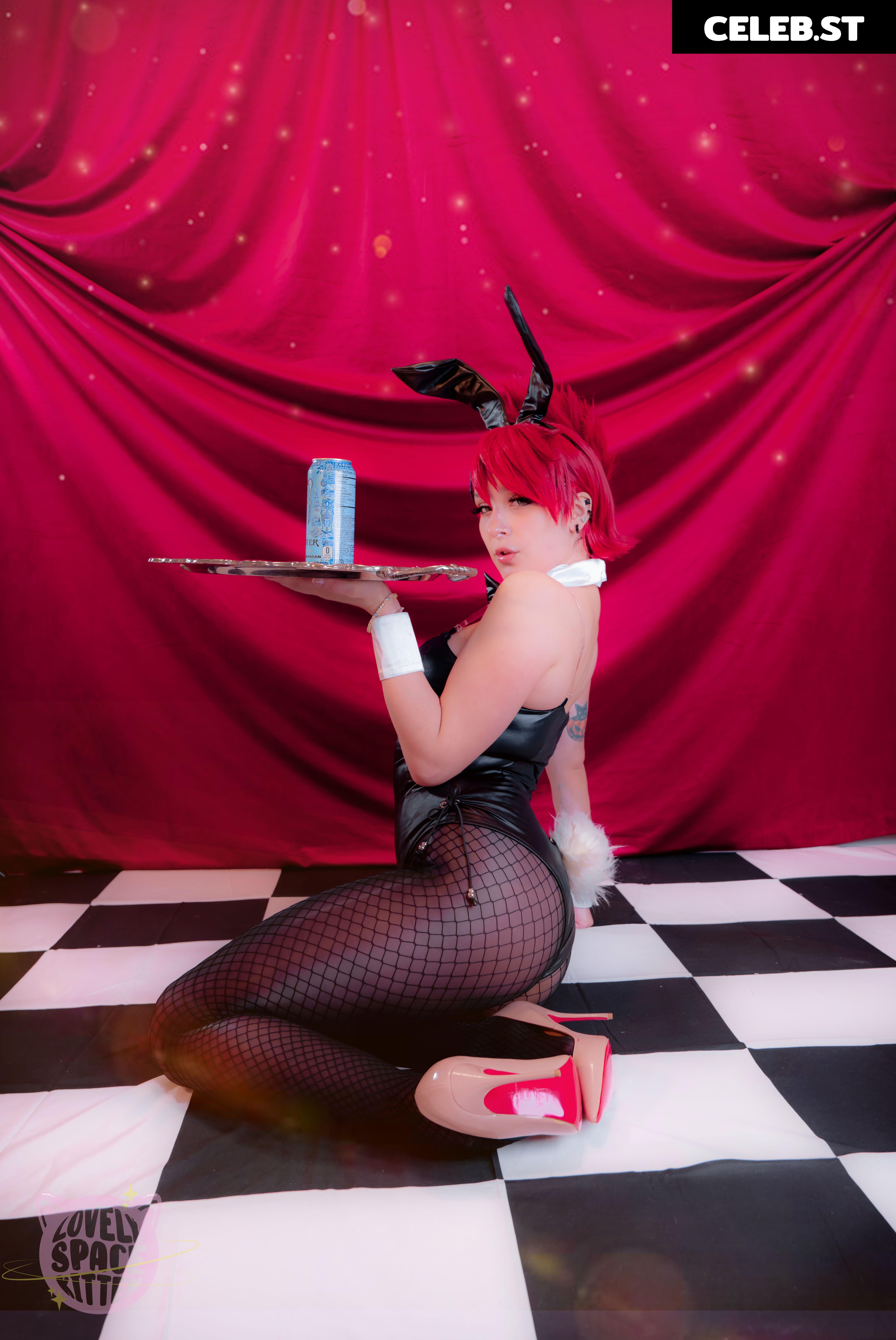 LovelySpaceKitten Image 23013606