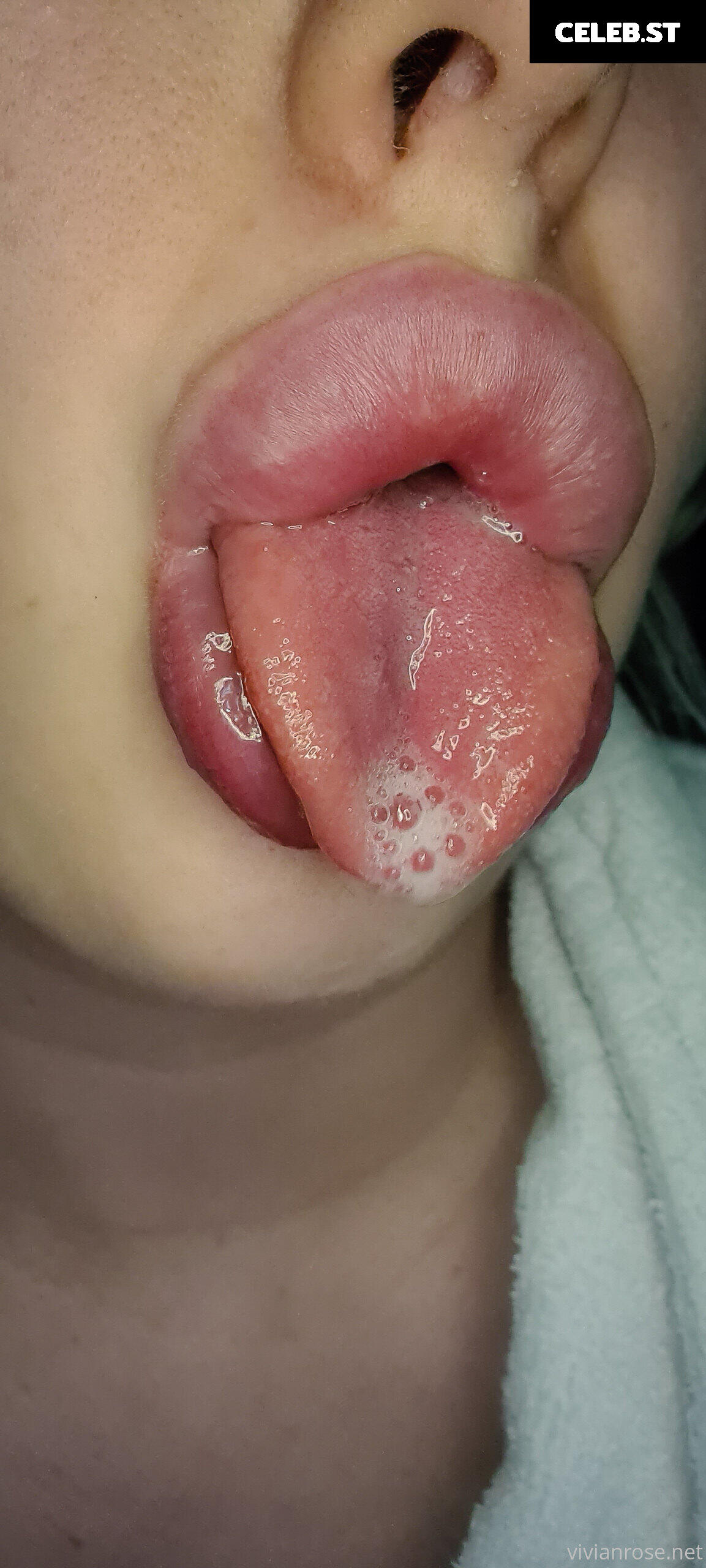 Vivian Rose Image 2309087