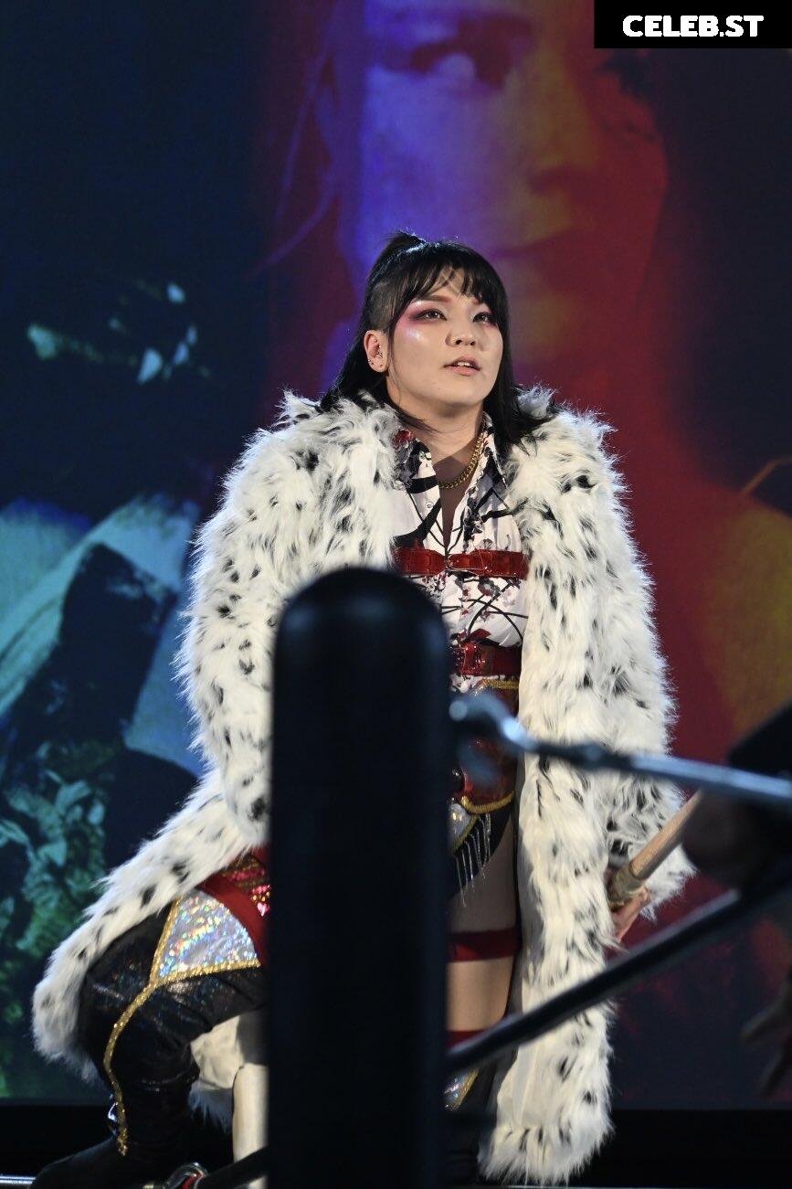 AEW Hikaru Shida Image 23084345