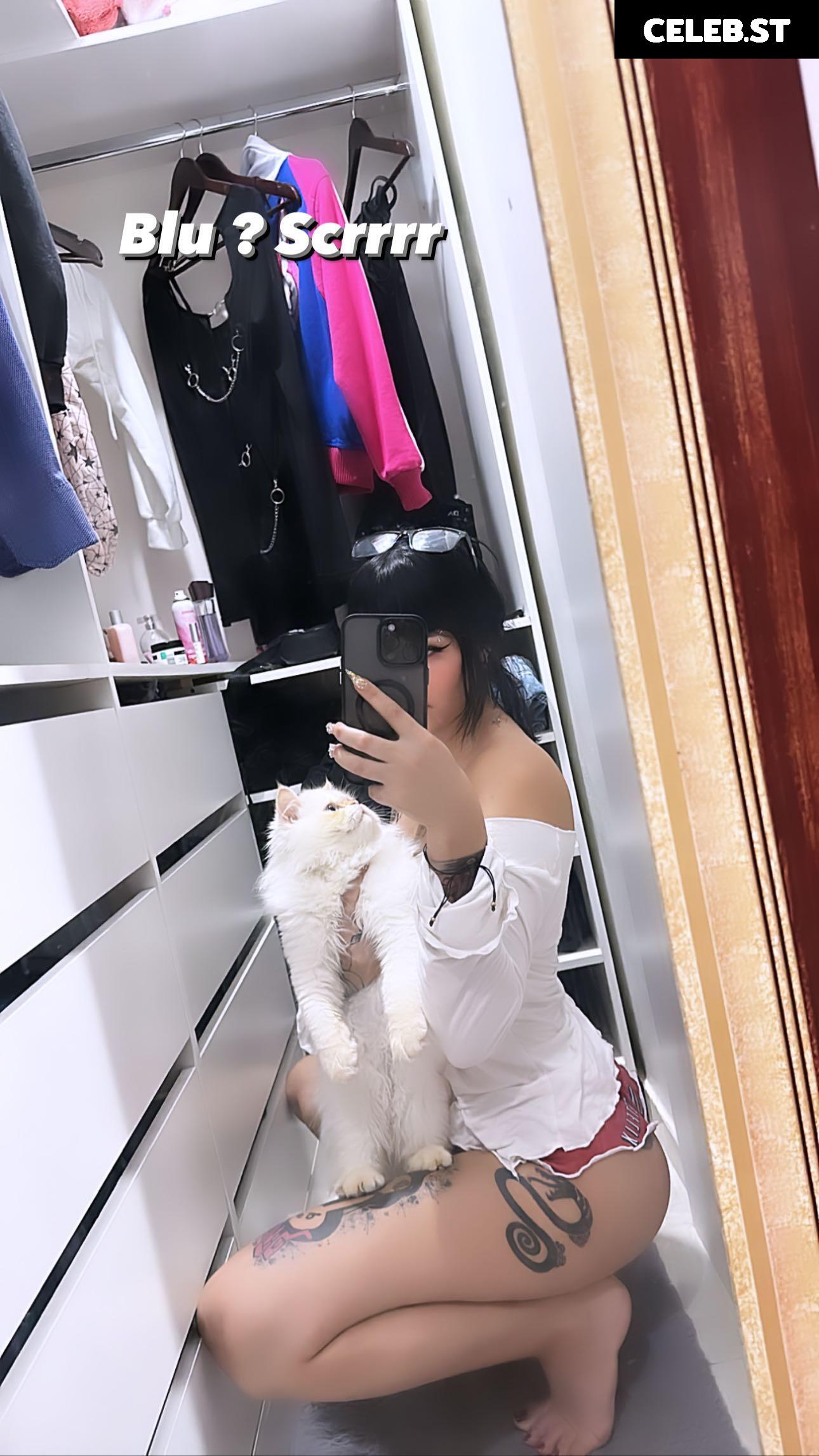 Yasmim Cat Image 23081750