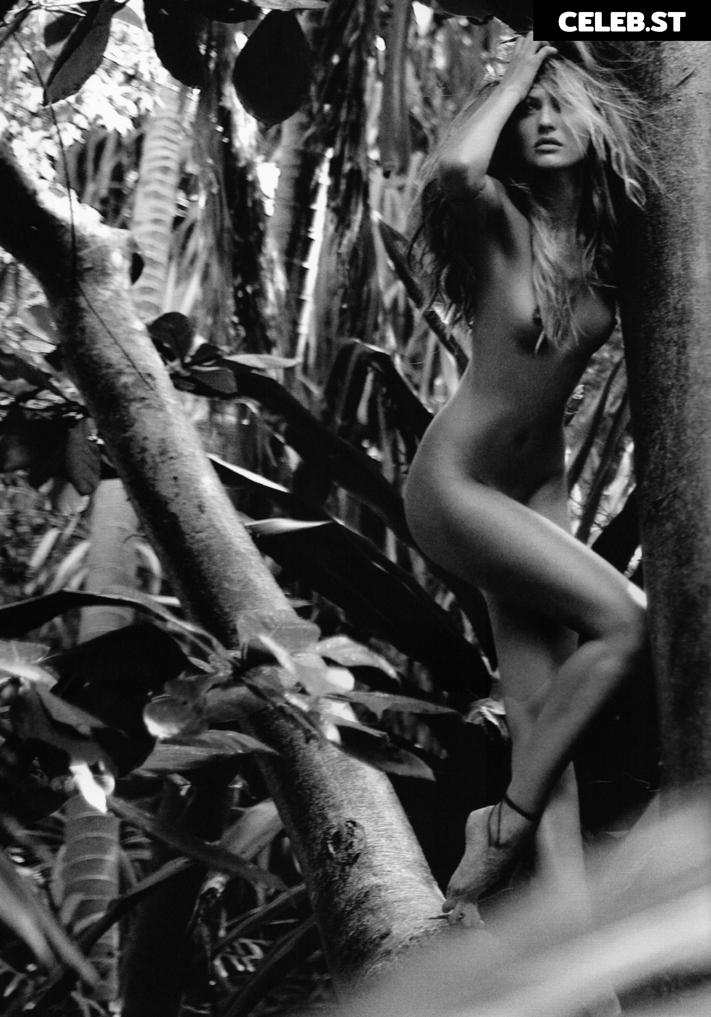 Candice Swanepoel Image 2896376