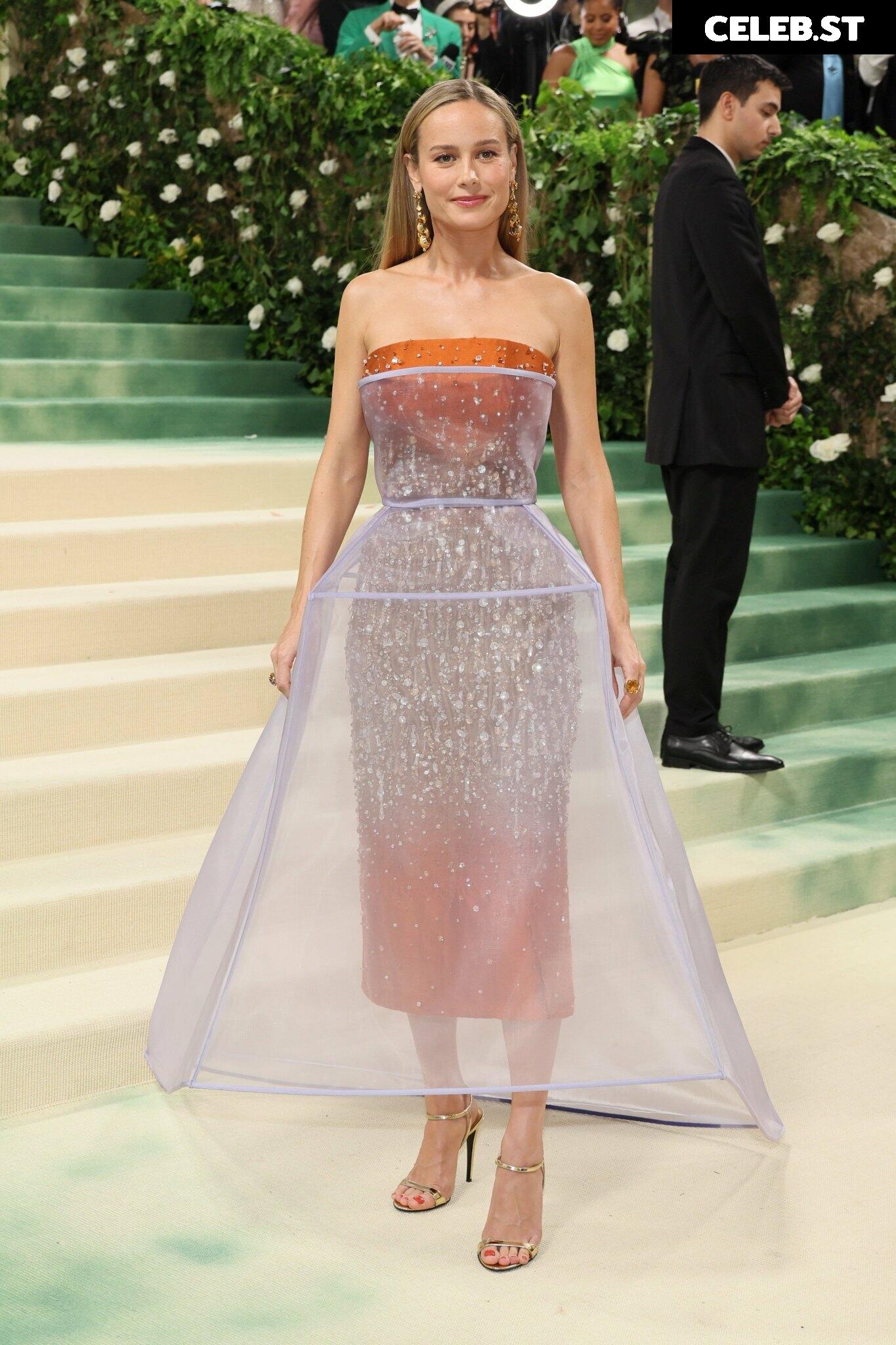 Brie Larson Image 2882221