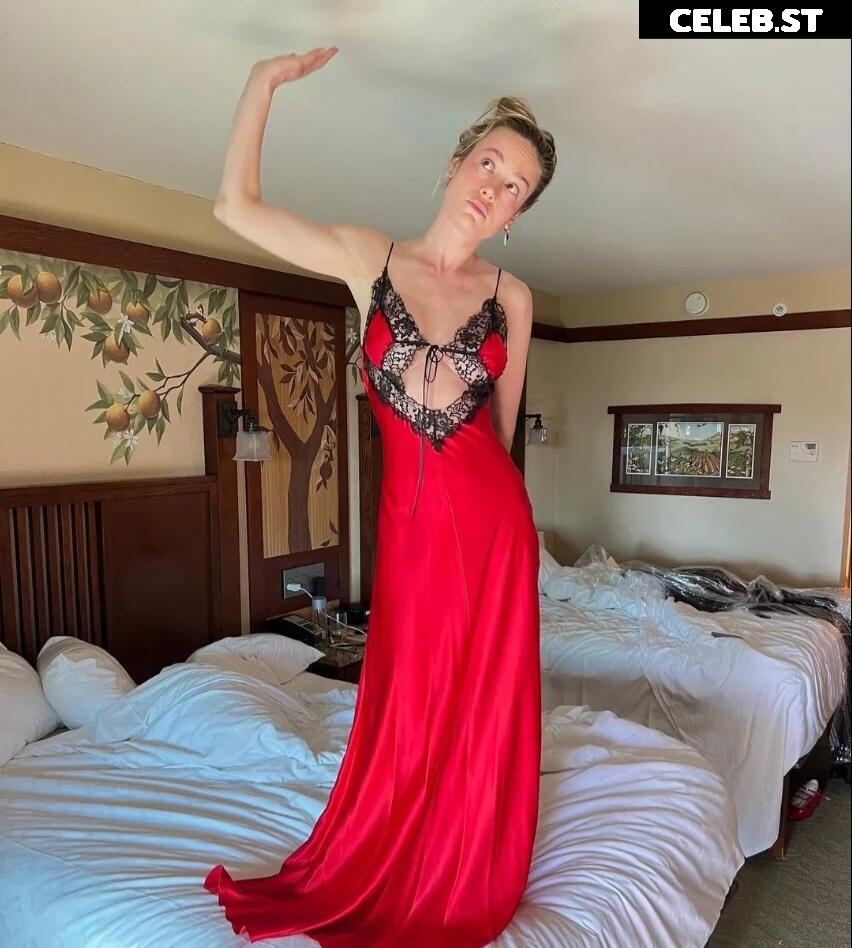 Brie Larson Image 2880558