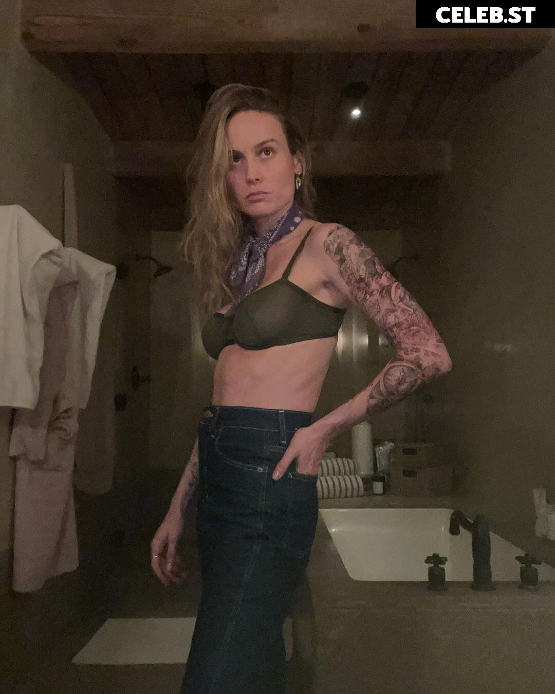 Brie Larson Image 2880231