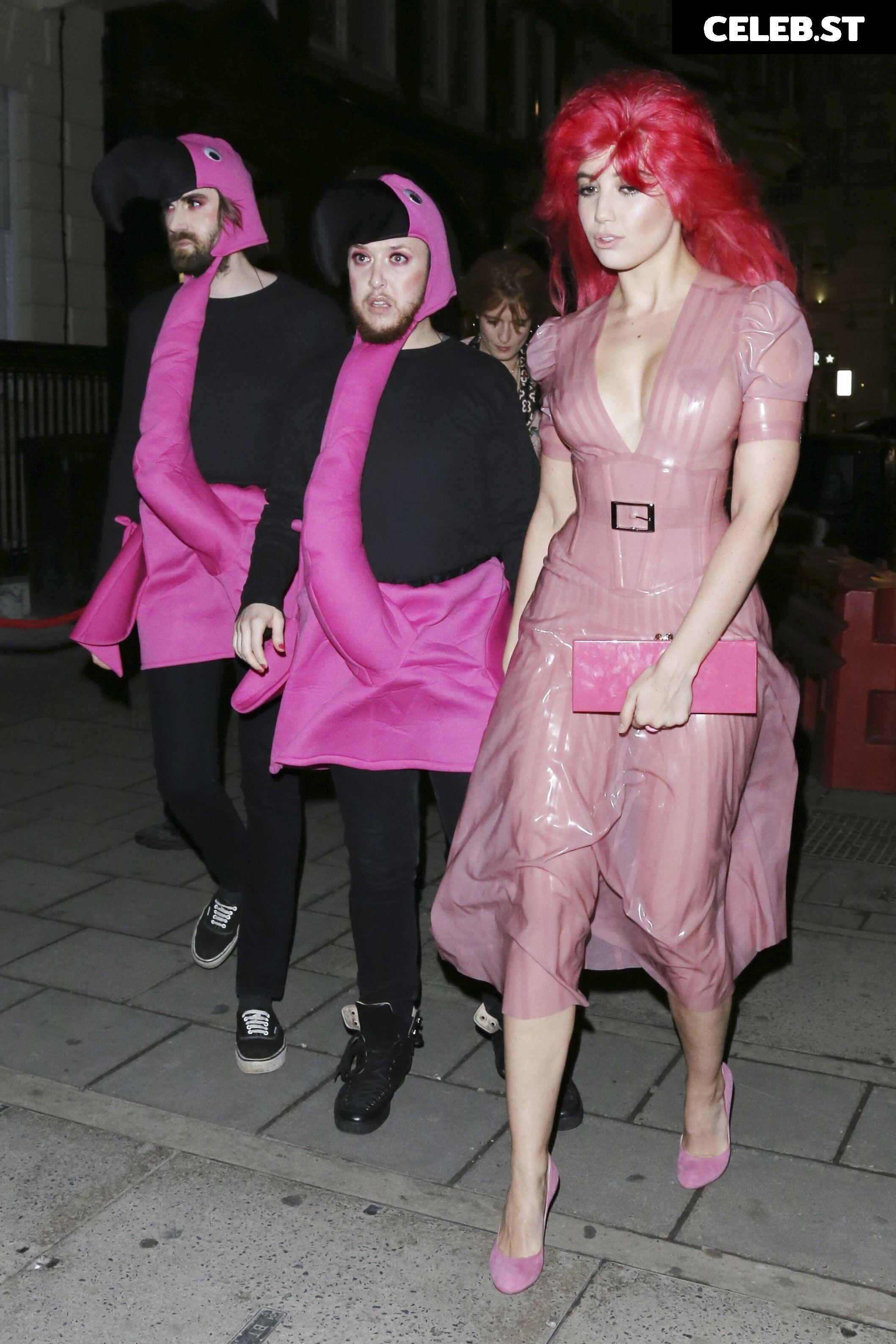 Daisy Lowe Image 2877271