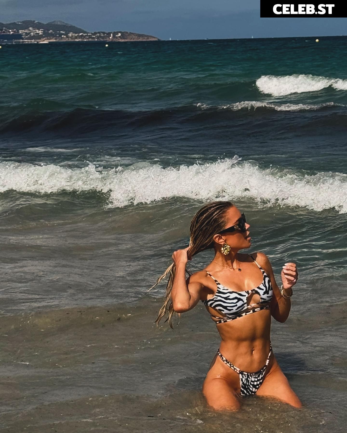 Sylvie Meis Image 2871253