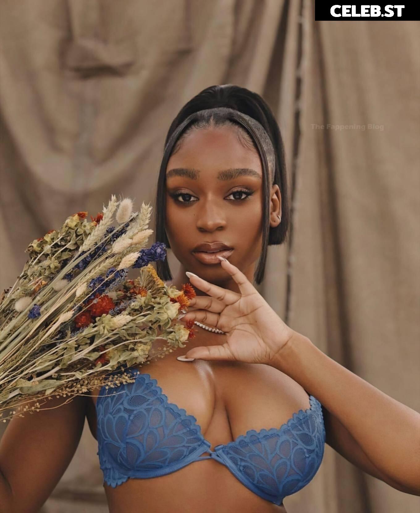 Normani Image 2873216