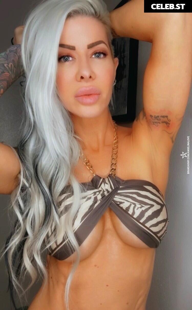 Angelina Love Image 2879058