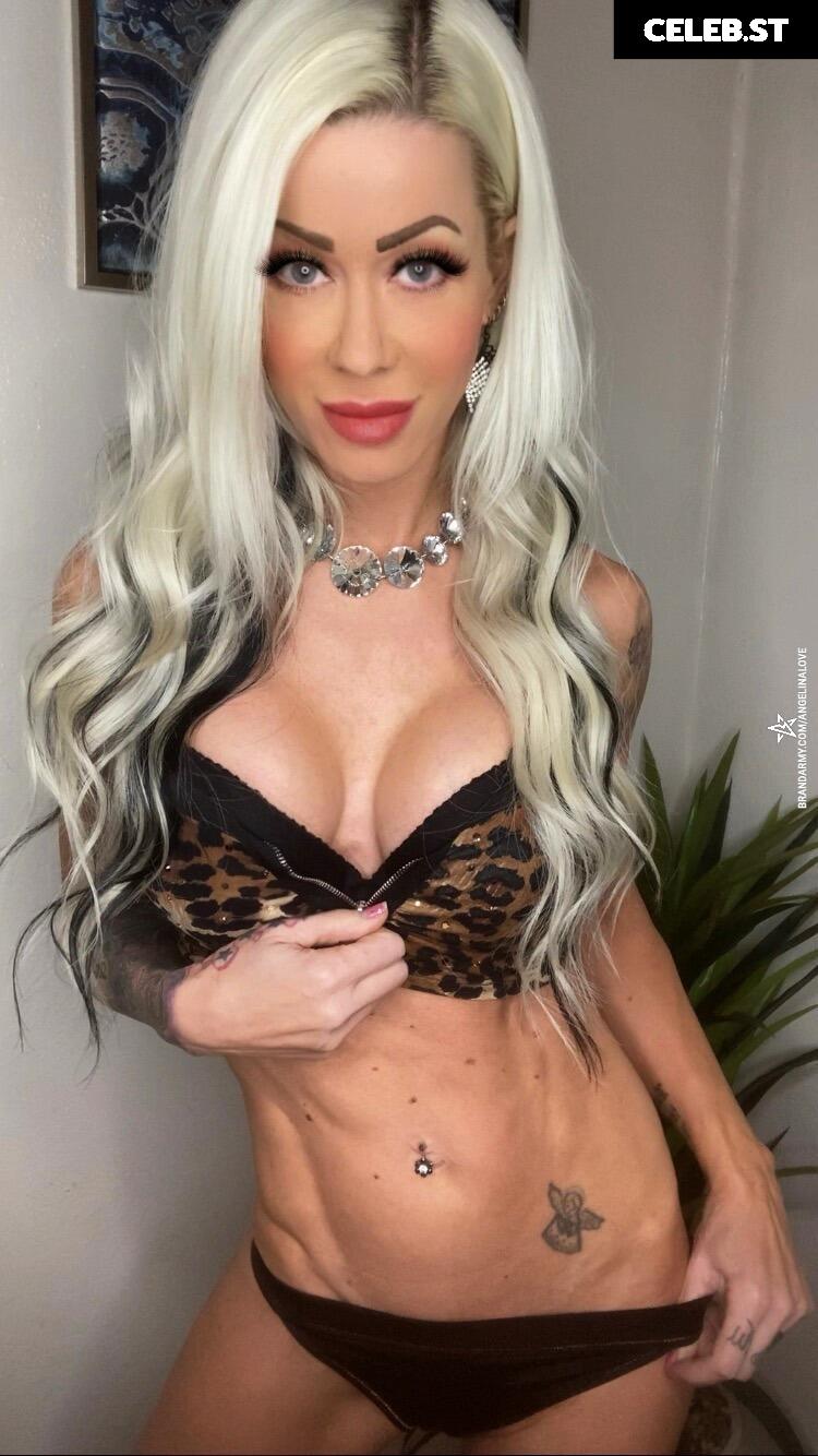 Angelina Love Image 2879001