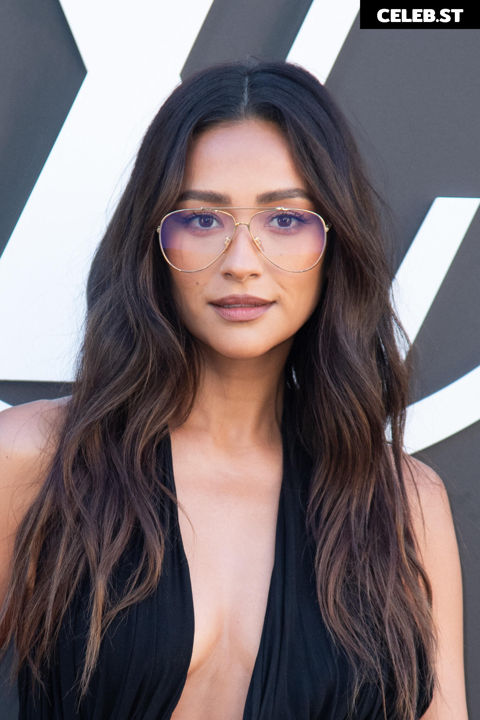 Shay Mitchell Image 2865209