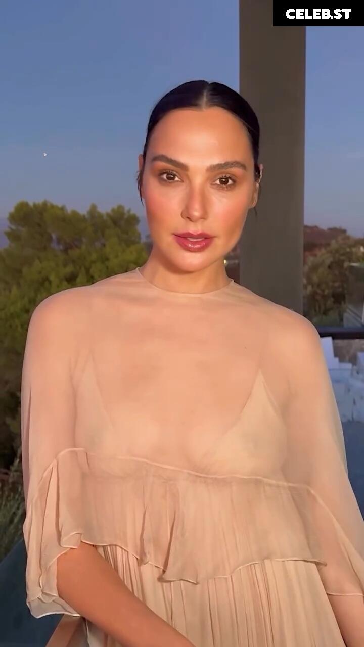 Gal Gadot Image 2864136