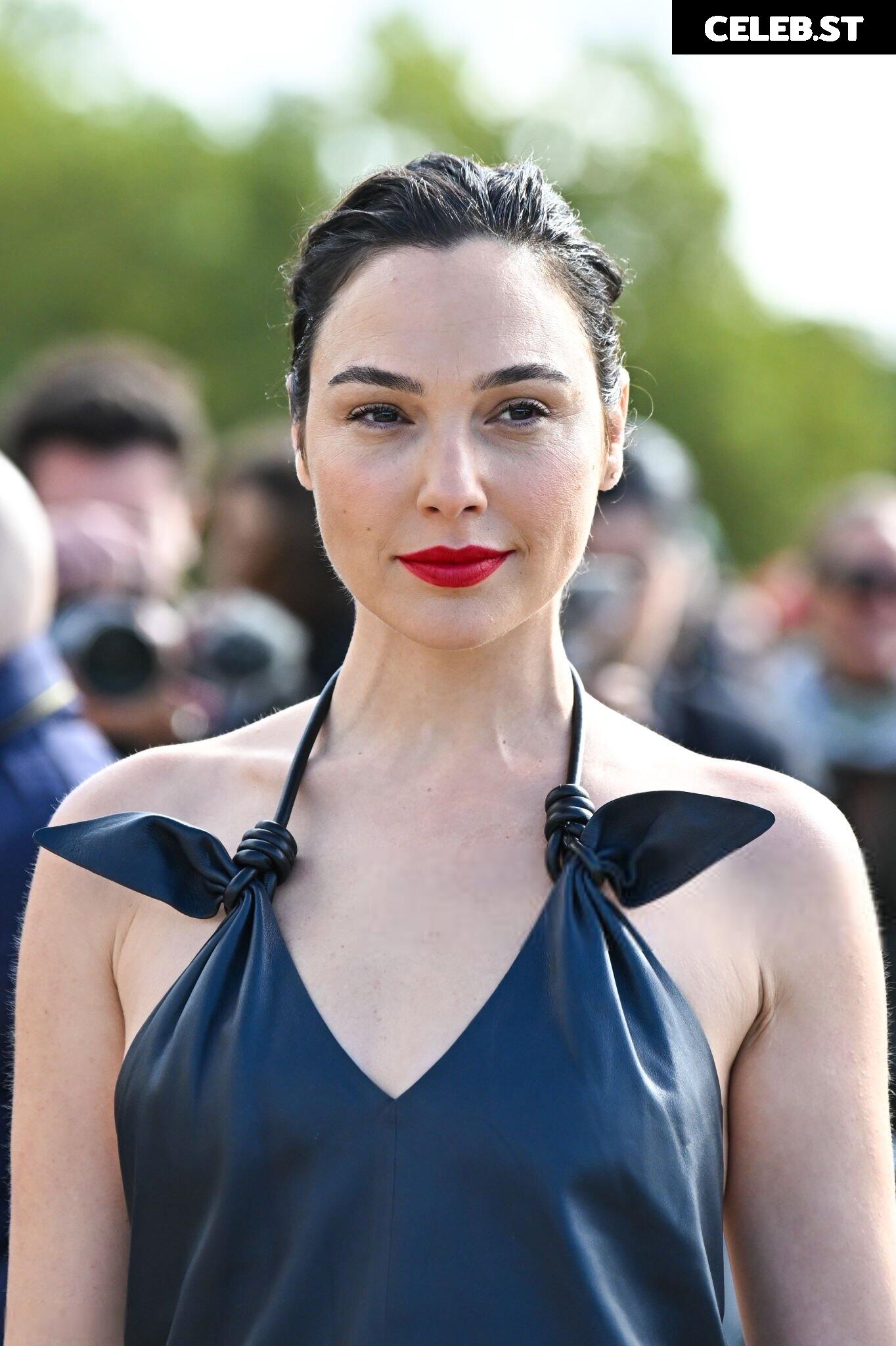 Gal Gadot Image 2864059