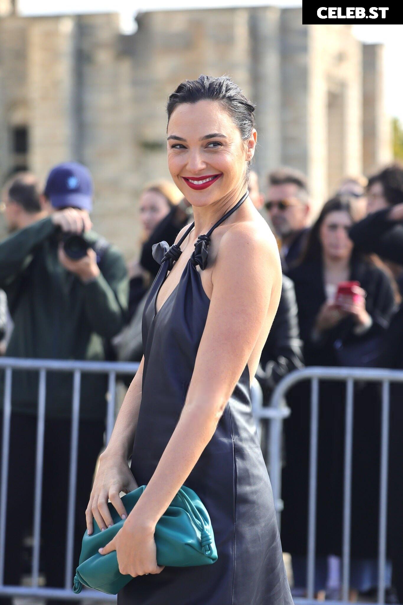 Gal Gadot Image 2864075