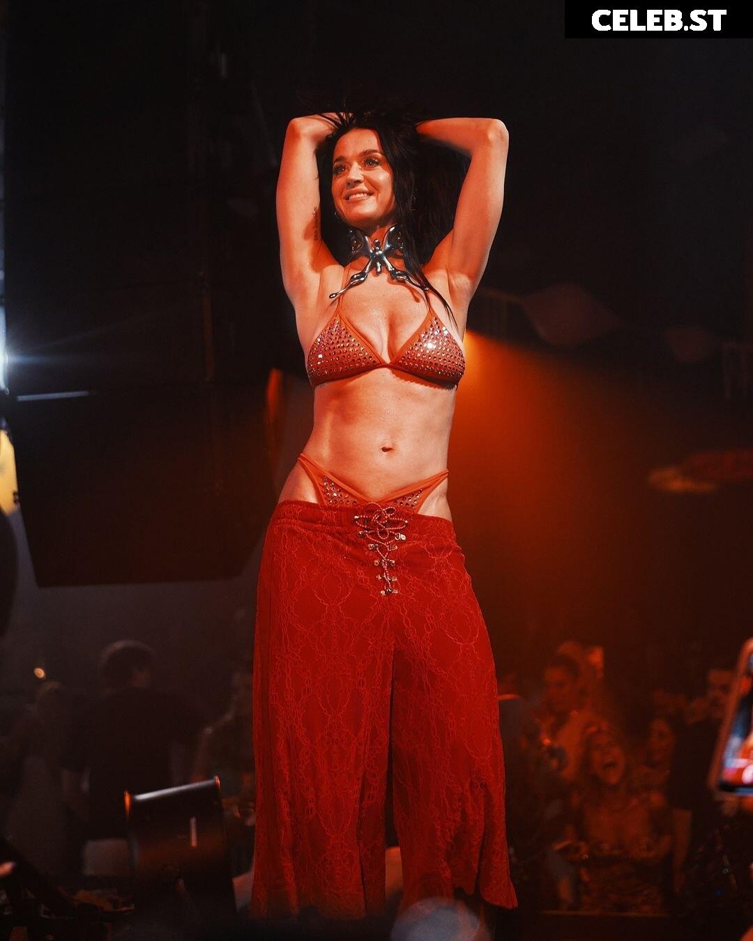 Katy Perry Image 2861475