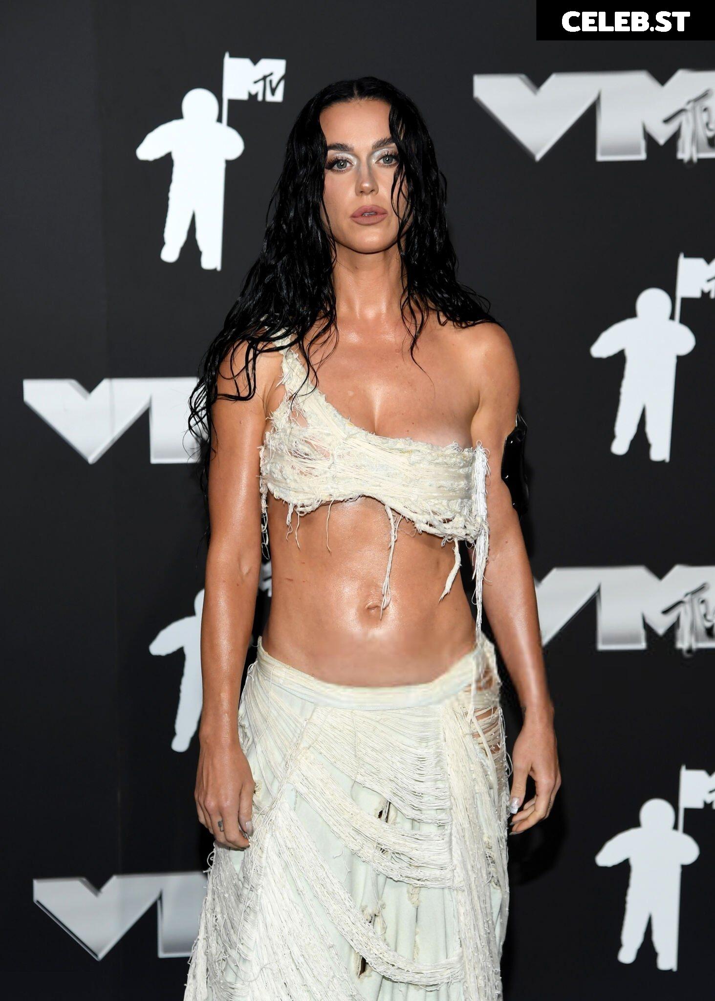 Katy Perry Image 2863016