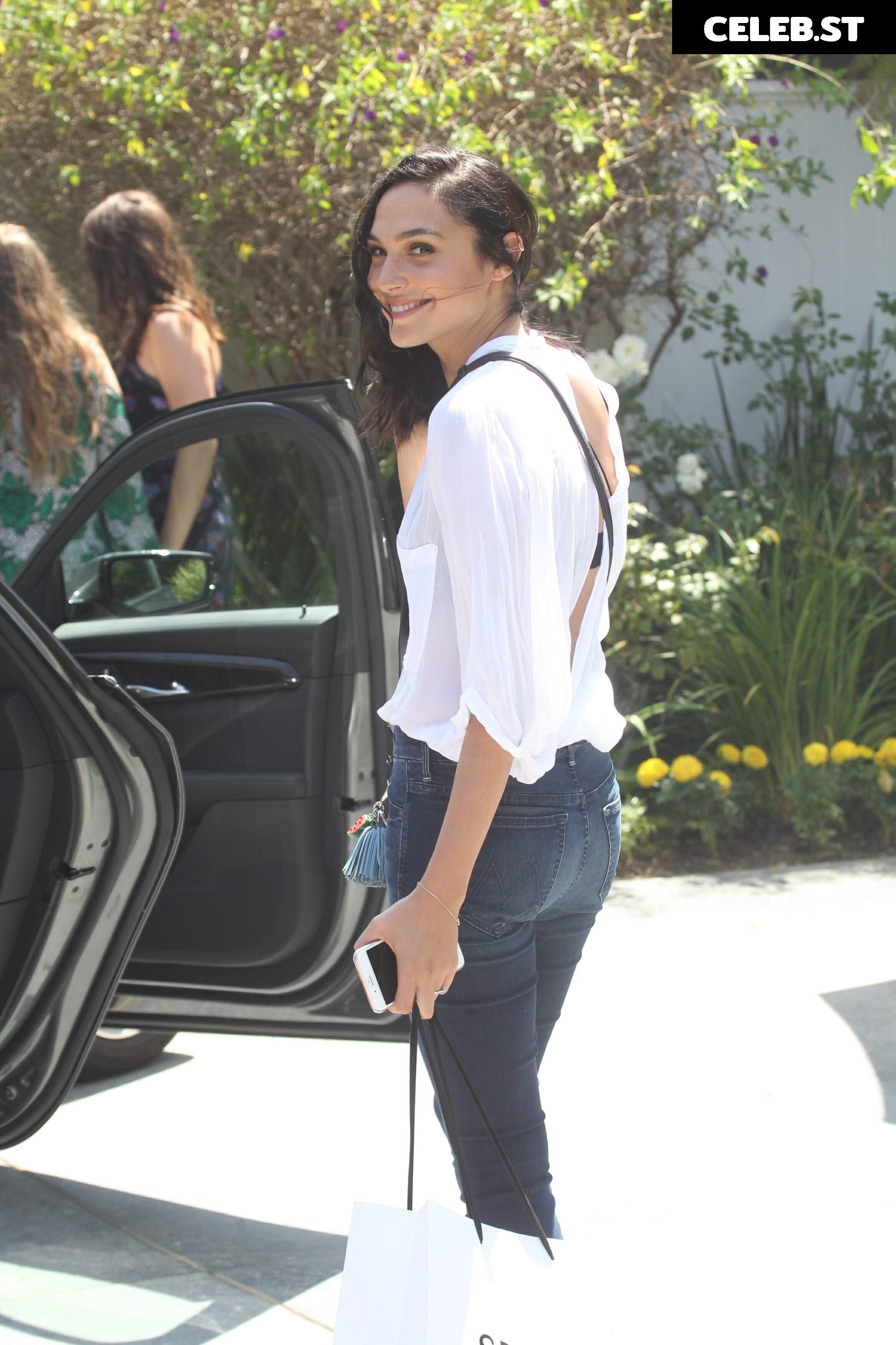 Gal Gadot Image 2863026