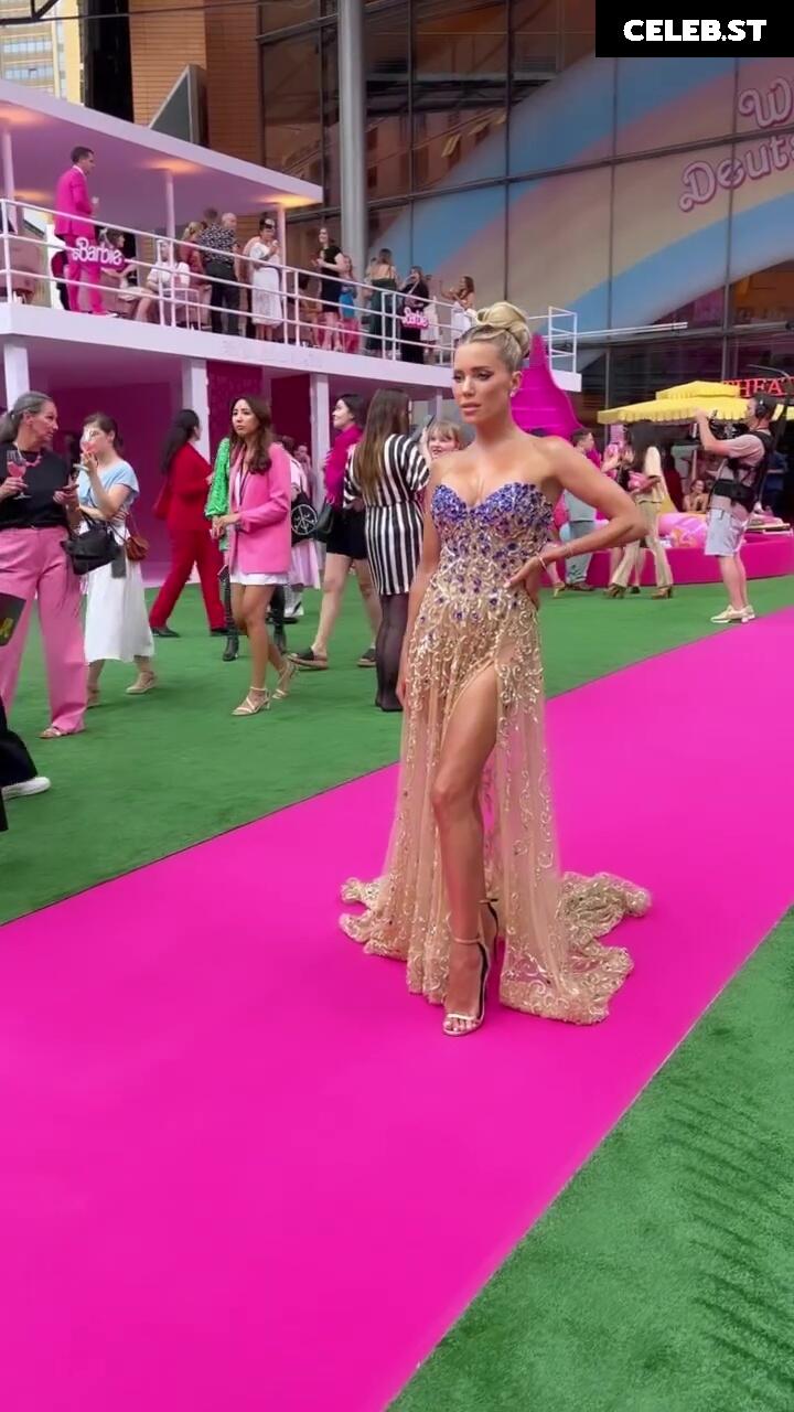 Sylvie Meis Image 2863369