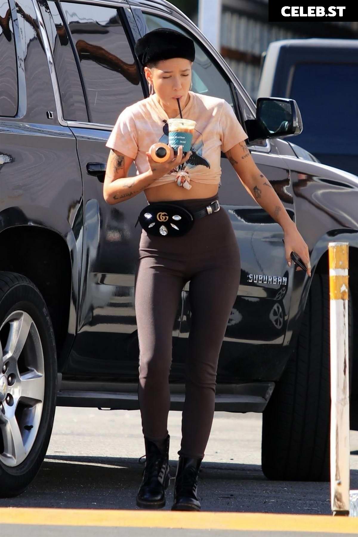 Halsey Image 2860845