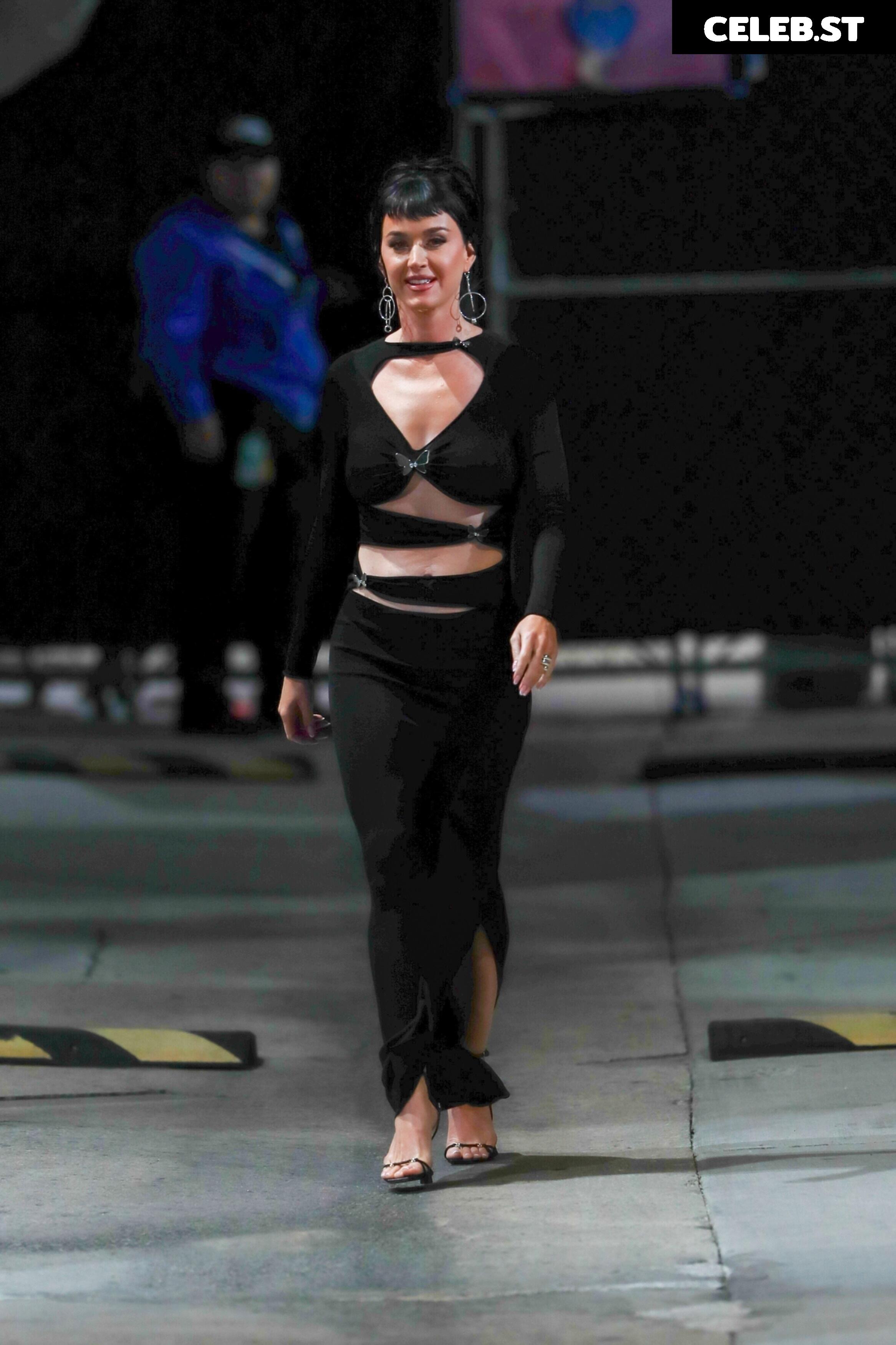 Katy Perry Image 2857183