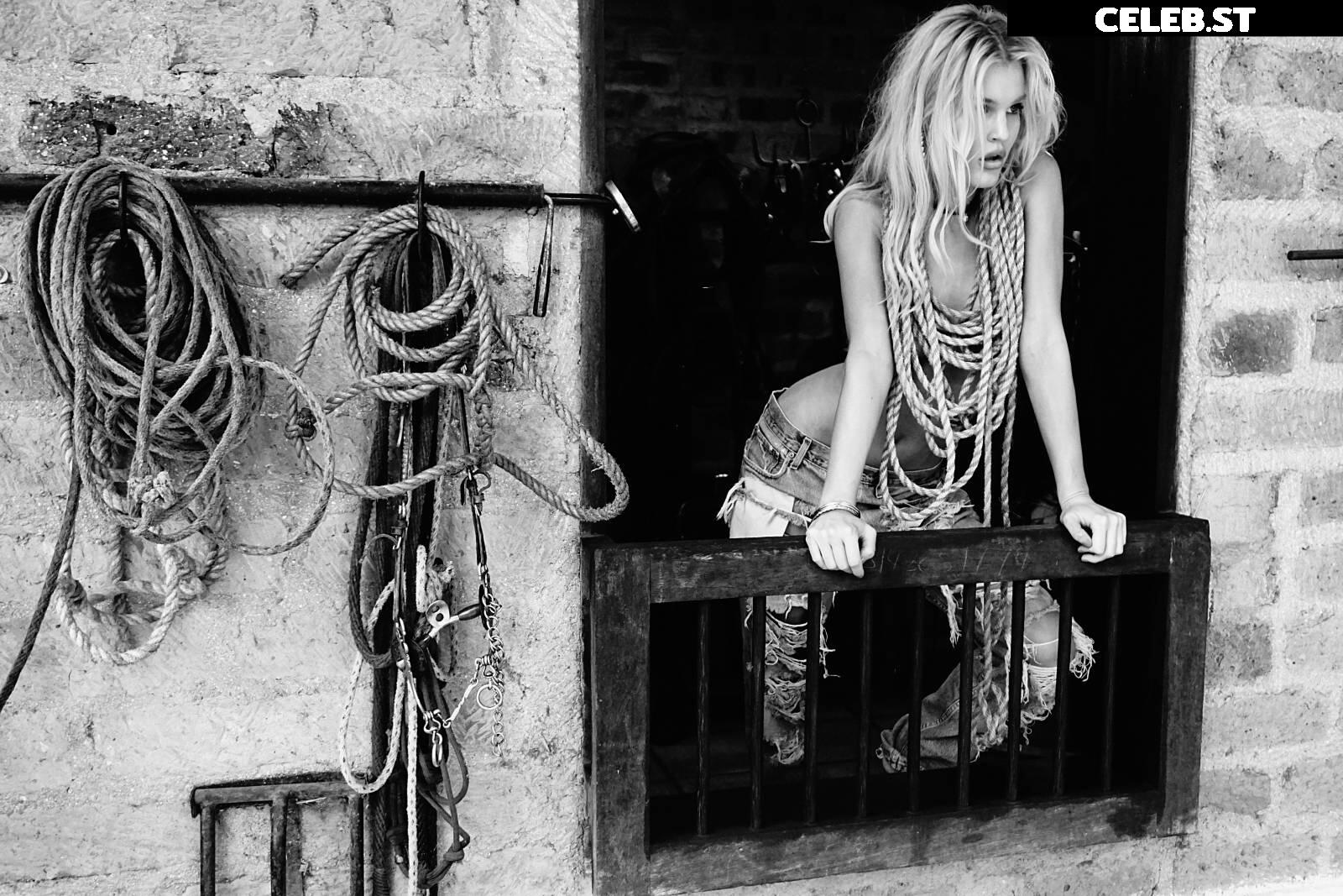 Joy Corrigan Image 2854751