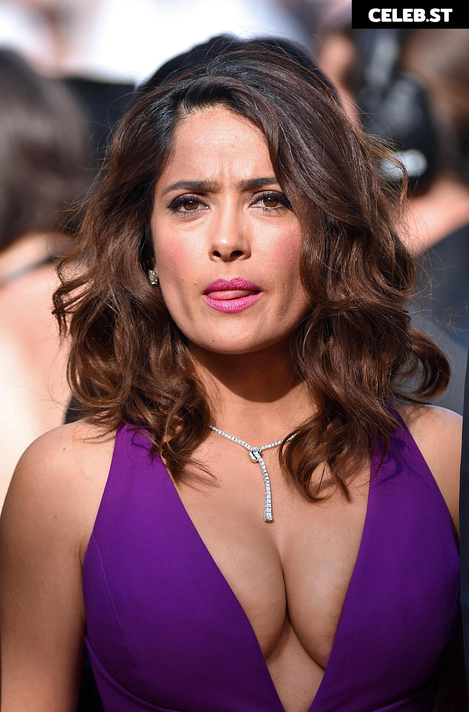 Salma Hayek Image 2852967