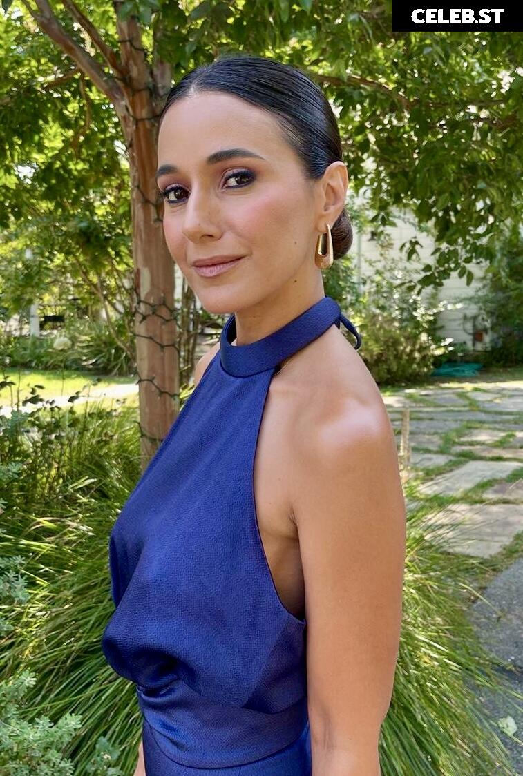 Emmanuelle Chriqui Image 2859065