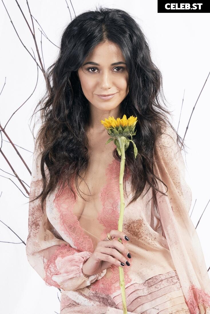 Emmanuelle Chriqui Image 2858400