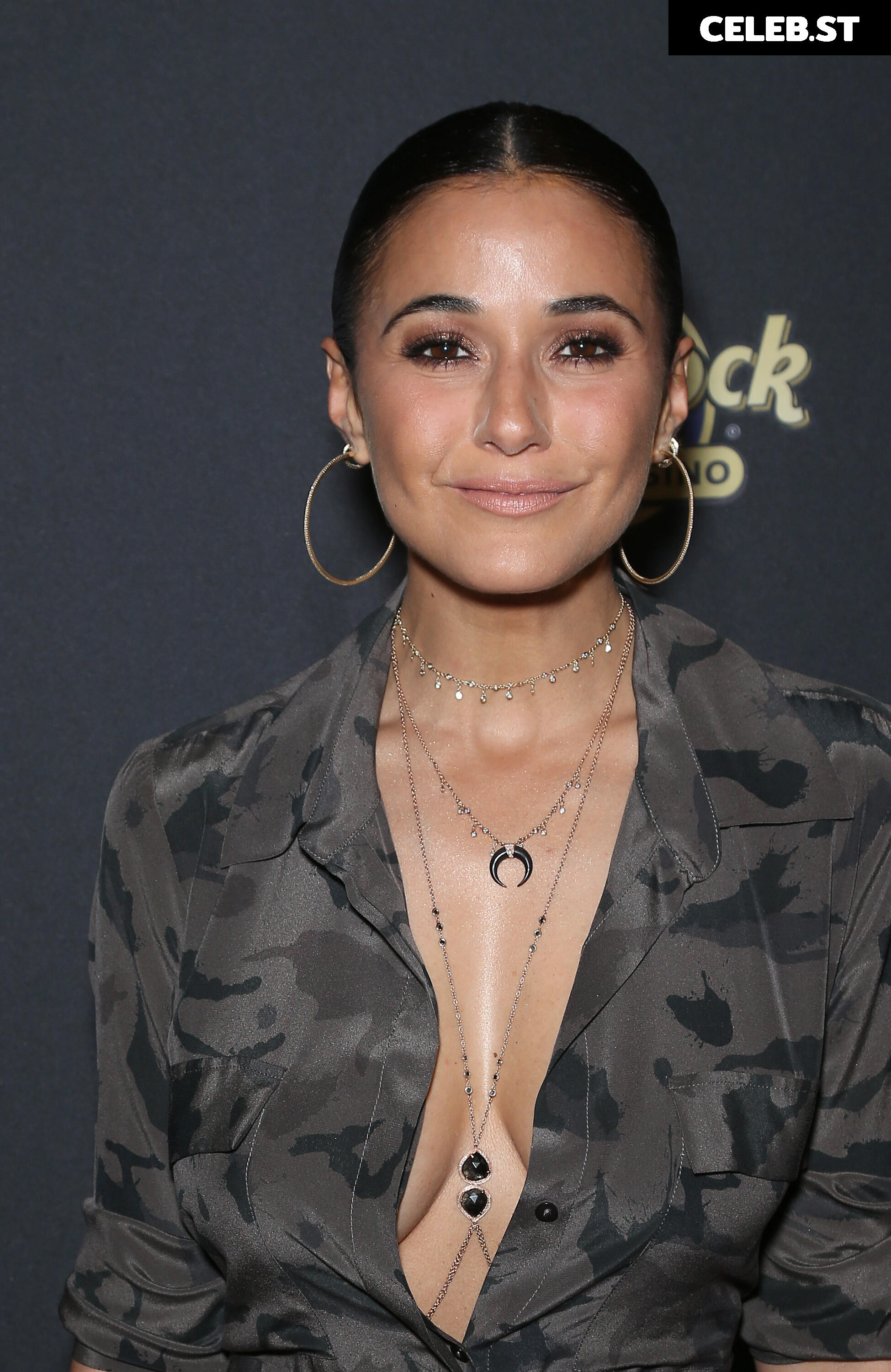 Emmanuelle Chriqui Image 2858904