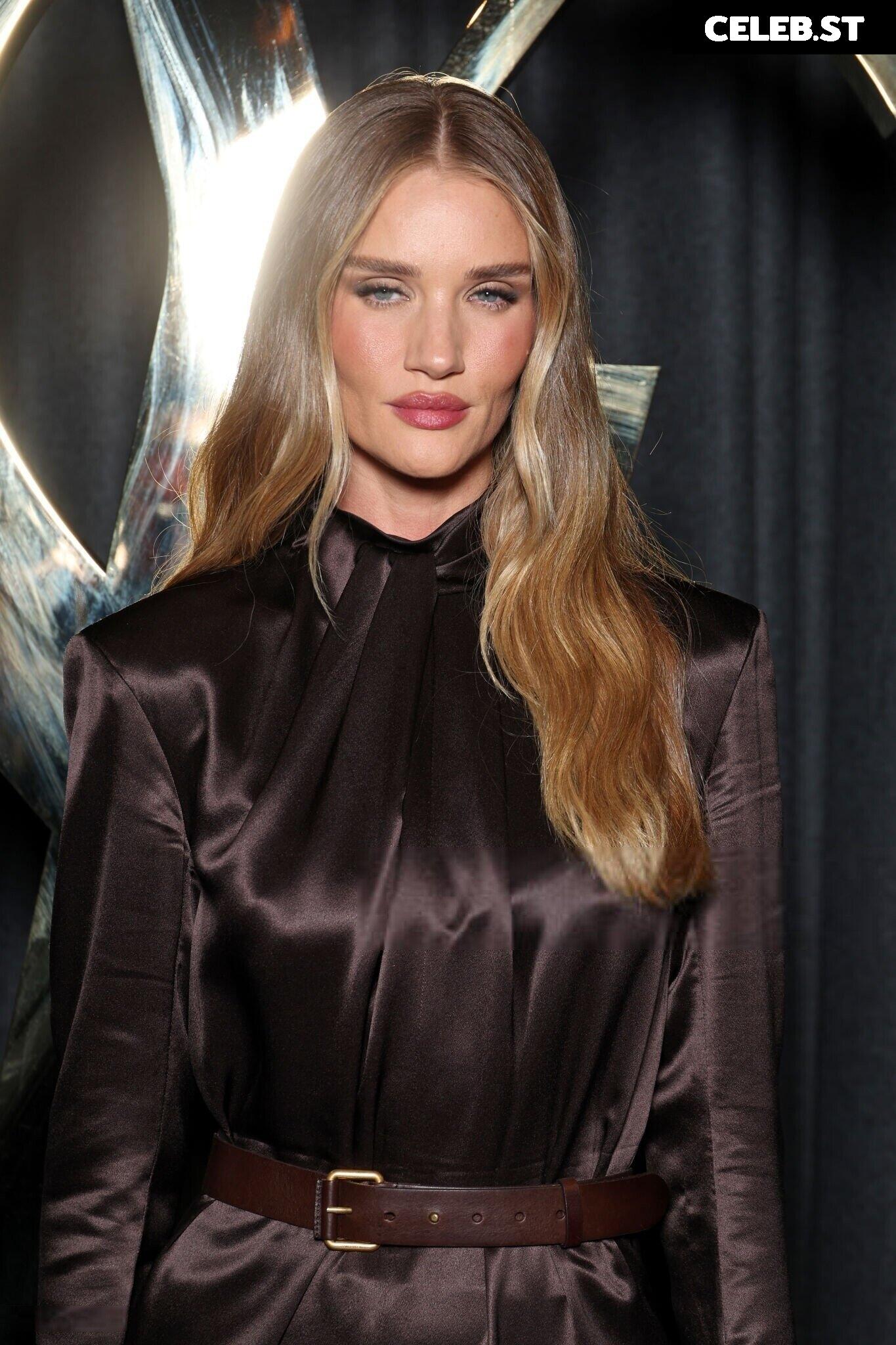 Rosie Huntington-Whiteley Image 2845645