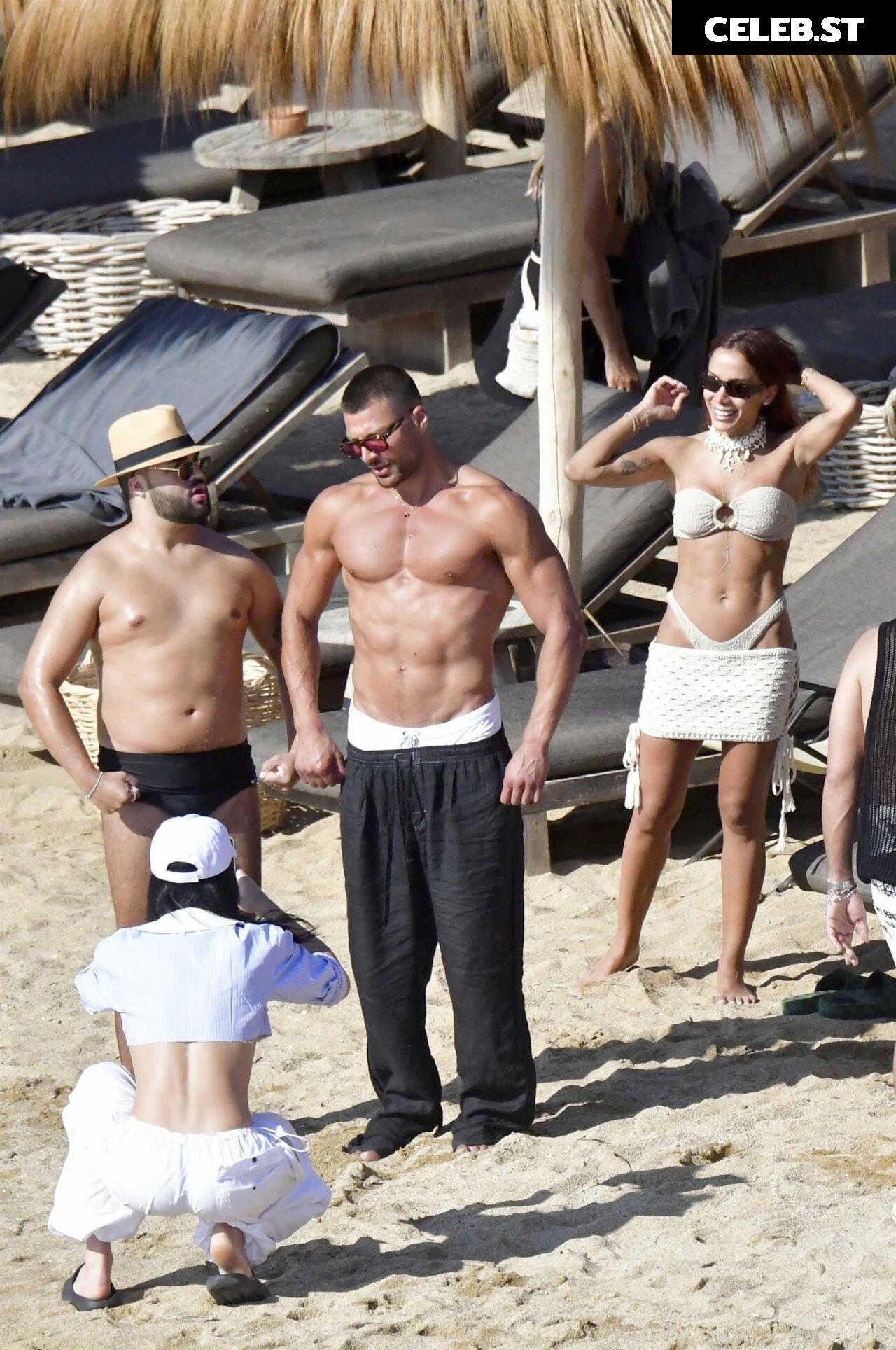 Anitta Image 2846076