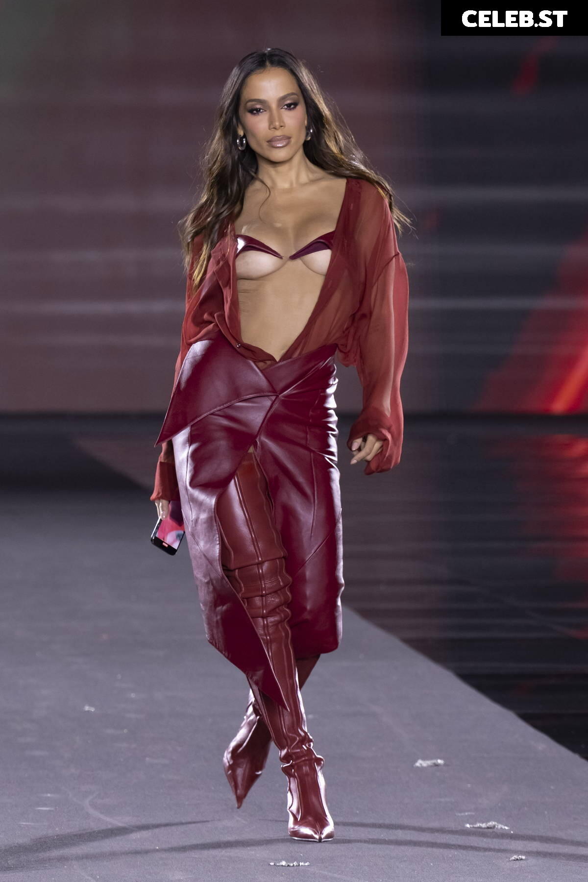 Anitta Image 2847457