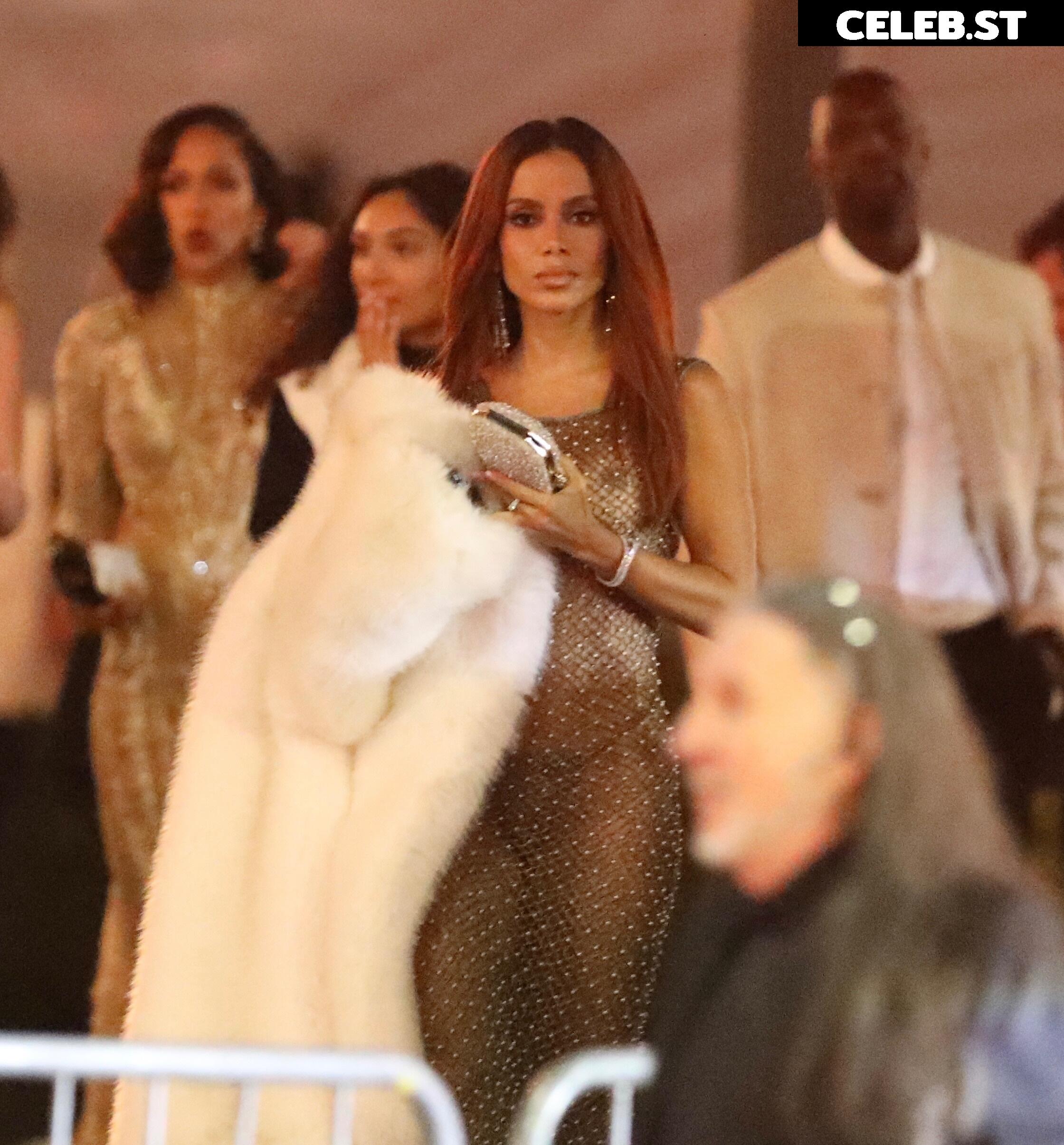 Anitta Image 2847389