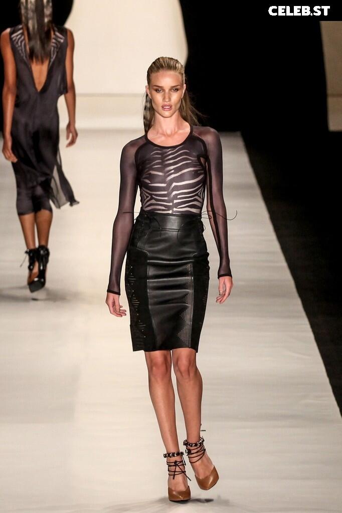 Rosie Huntington-Whiteley Image 2844999