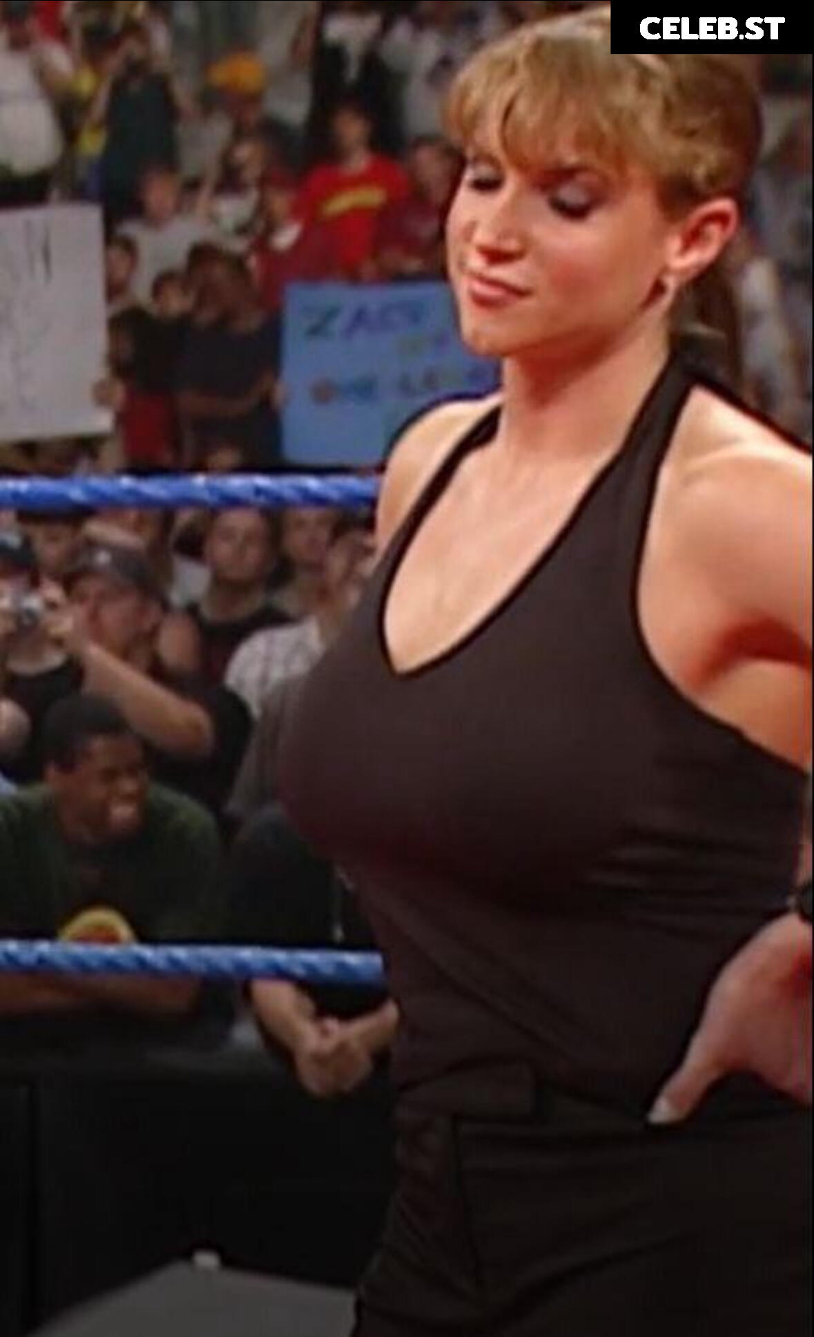 Stephanie McMahon Image 2843513