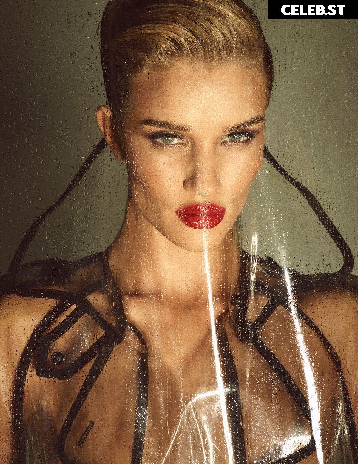 Rosie Huntington-Whiteley Image 2843058