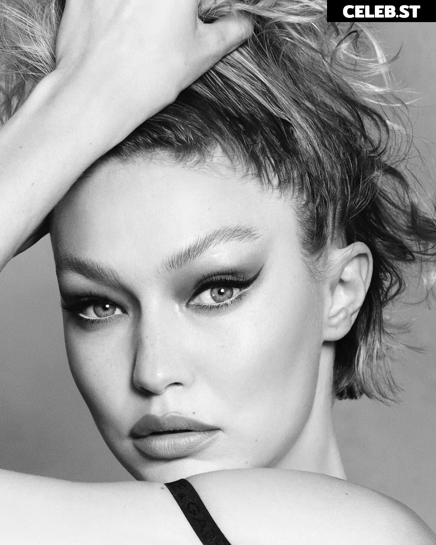 Gigi Hadid Image 2831753