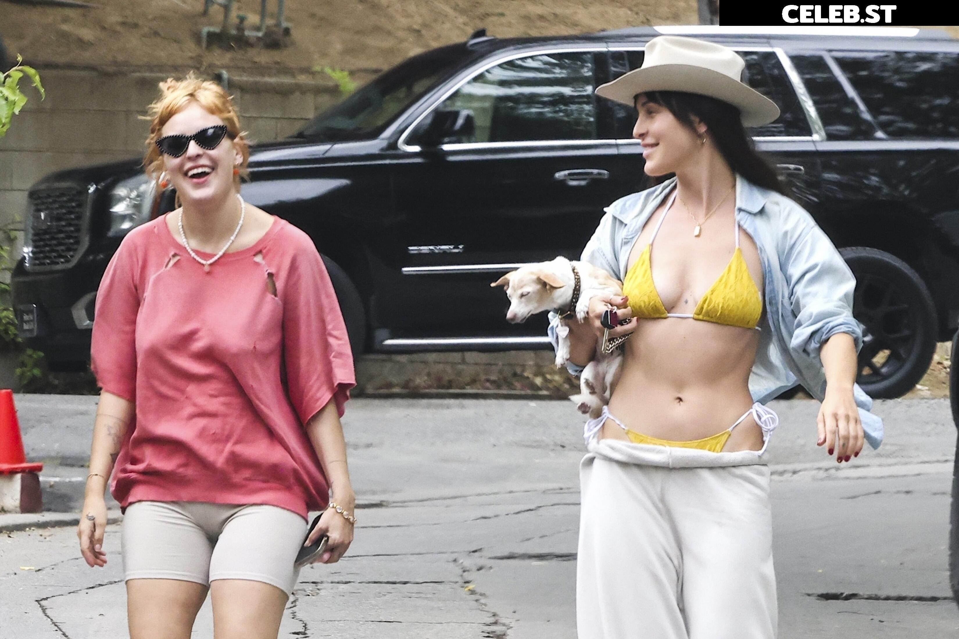 Scout Willis Image 2825882
