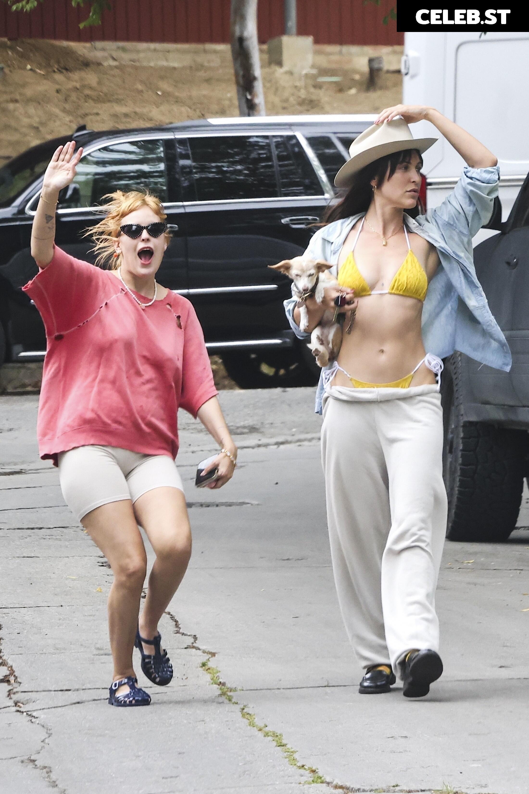 Scout Willis Image 2825466