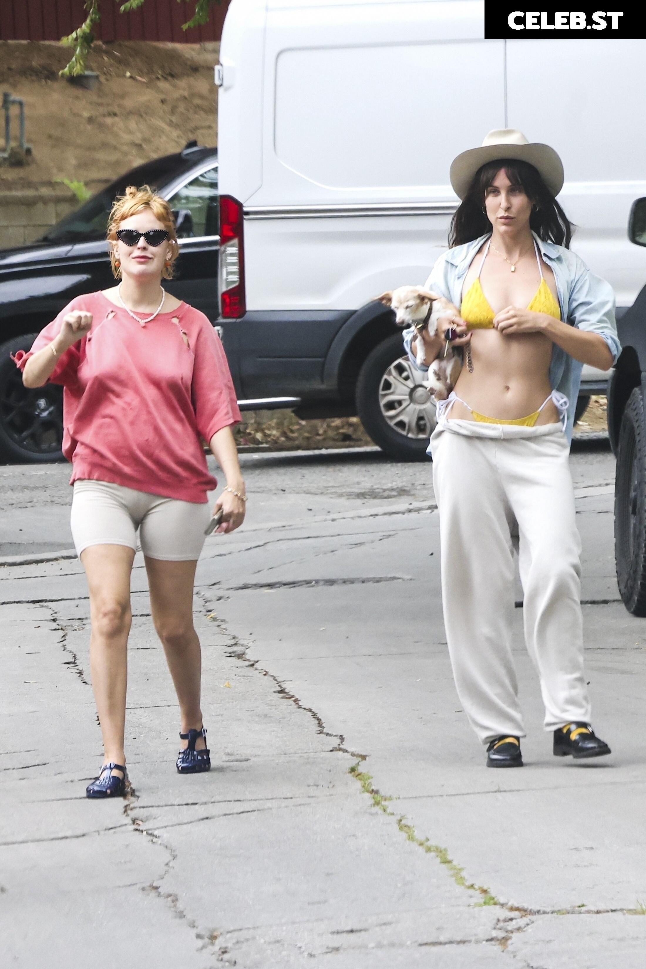 Scout Willis Image 2825667