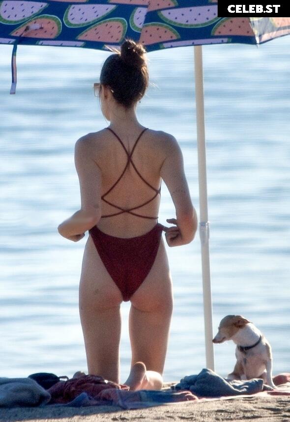 Scout Willis Image 2826802
